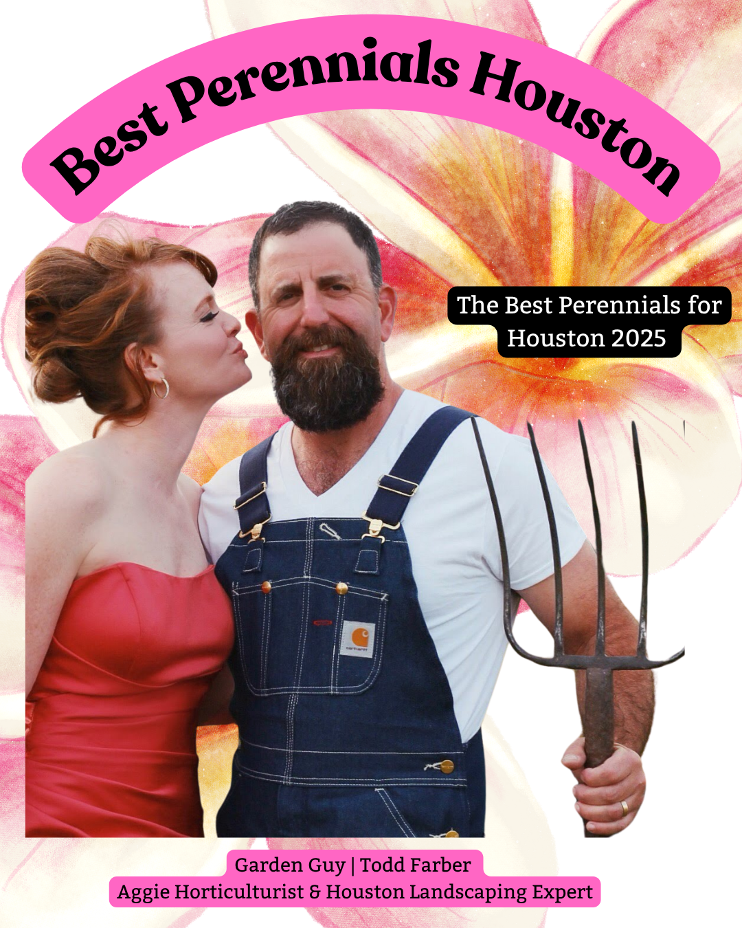  Best Perennials for Houston (Updated 2025 Guide)