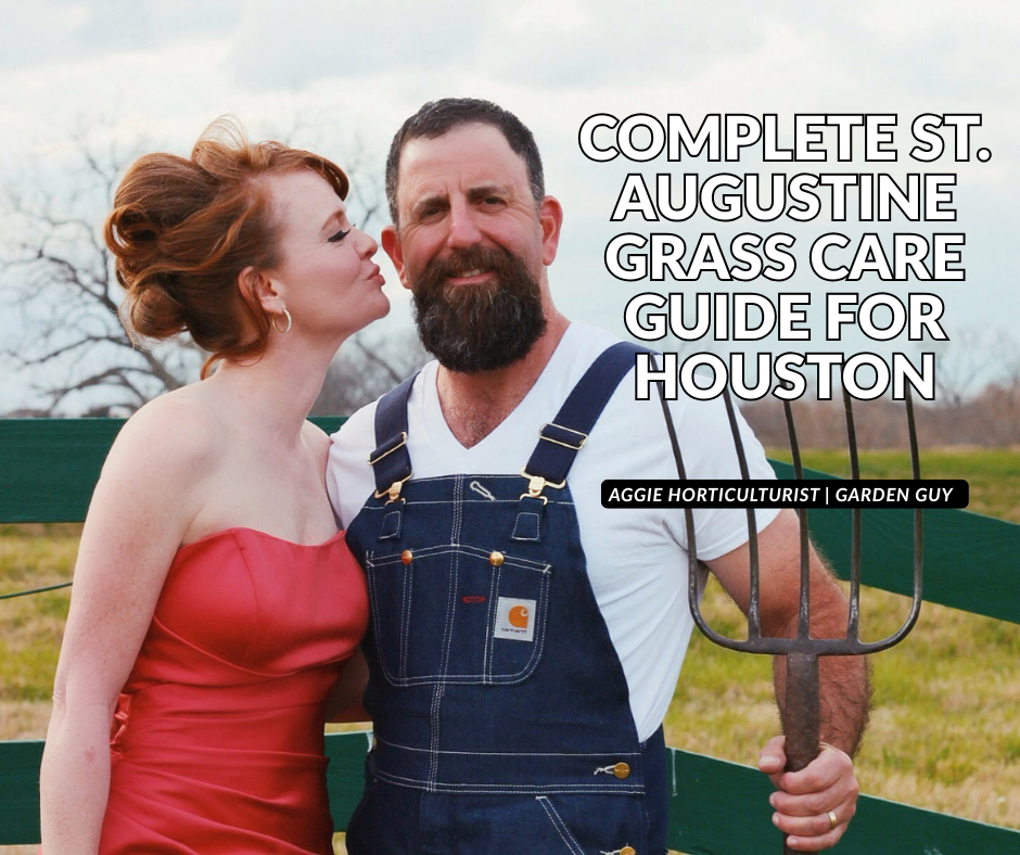 Complete Guide to St. Augustine Grass Care in Houston: Expert Tips from an Aggie Horticulturist