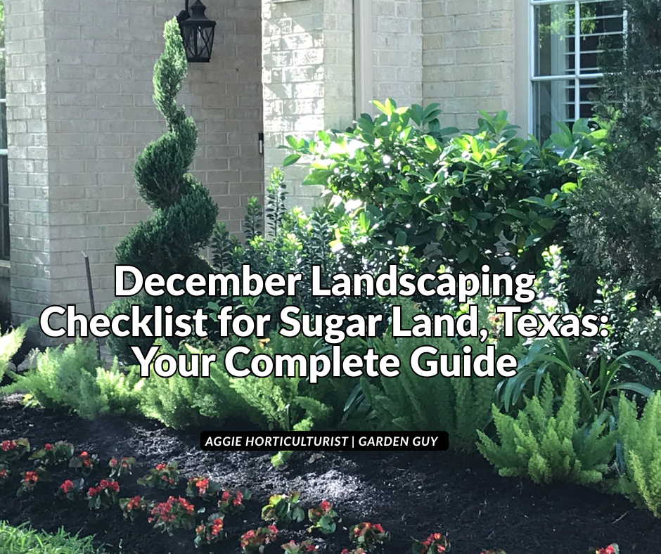 December Landscaping Checklist for Houston Homeowners: Your Complete Guide to Zone 9 Yard Maintenance