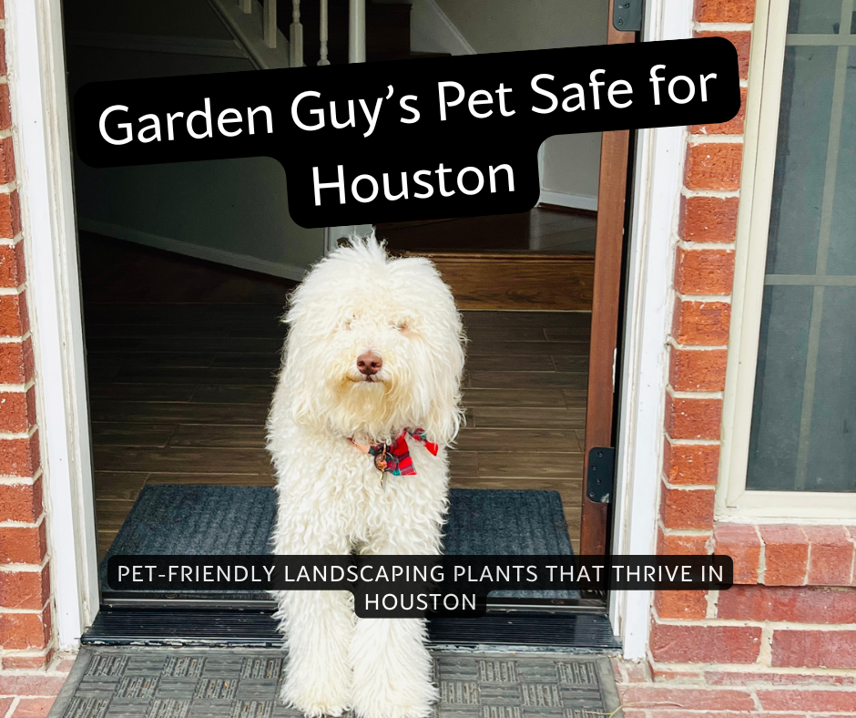 🐾 Pet-Safe Plants for Houston Gardens &amp; Homes 🌿