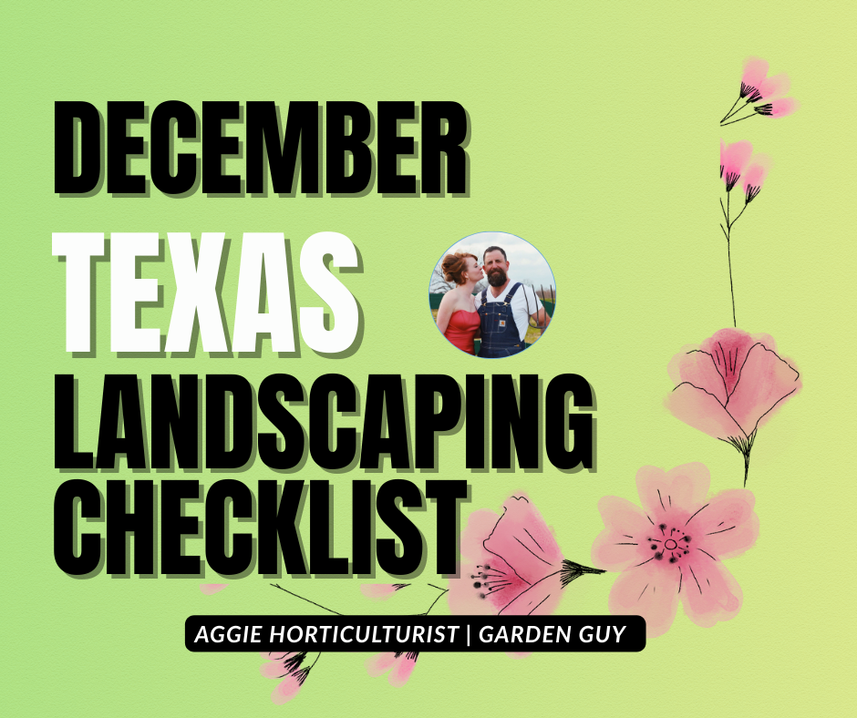 December Landscaping Checklist for Texas: Your Complete Guide