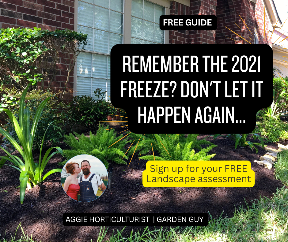 Freeze-Proof Your Sienna, Telfair, or Sugar Creek Yard: Essential Lessons from the 2021 Texas Freeze