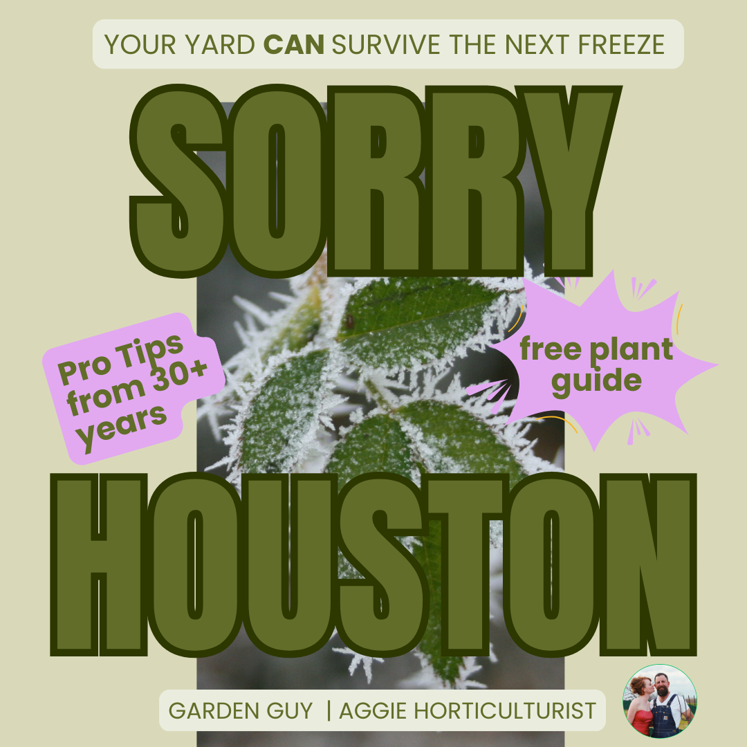 SORRY IN ADVANCE to Every Sugar Land Homeowner Who Doesn't Read This