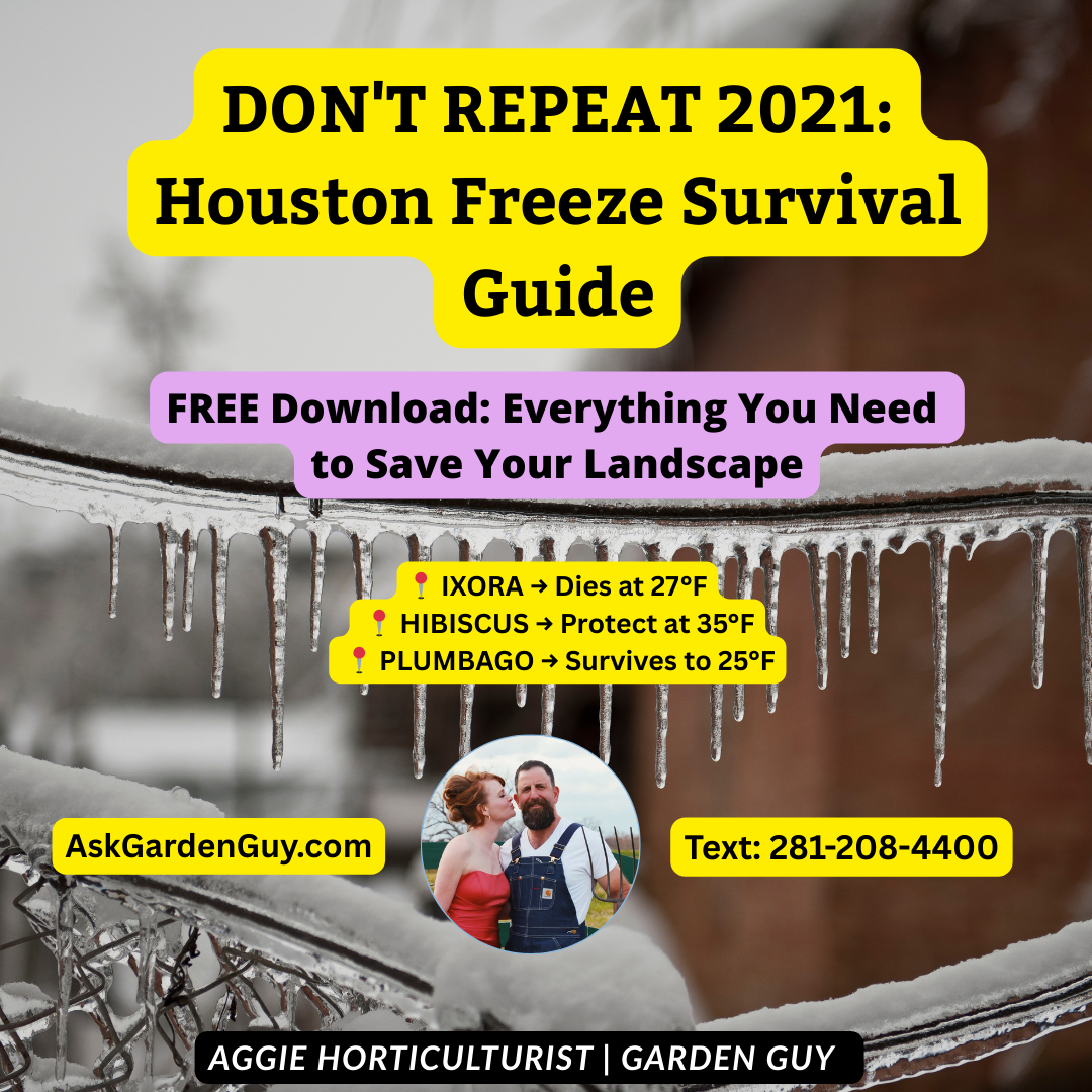 GARDEN GUY'S FREEZE SURVIVAL GUIDE Protect Your Sugar Land &amp; Houston Landscape