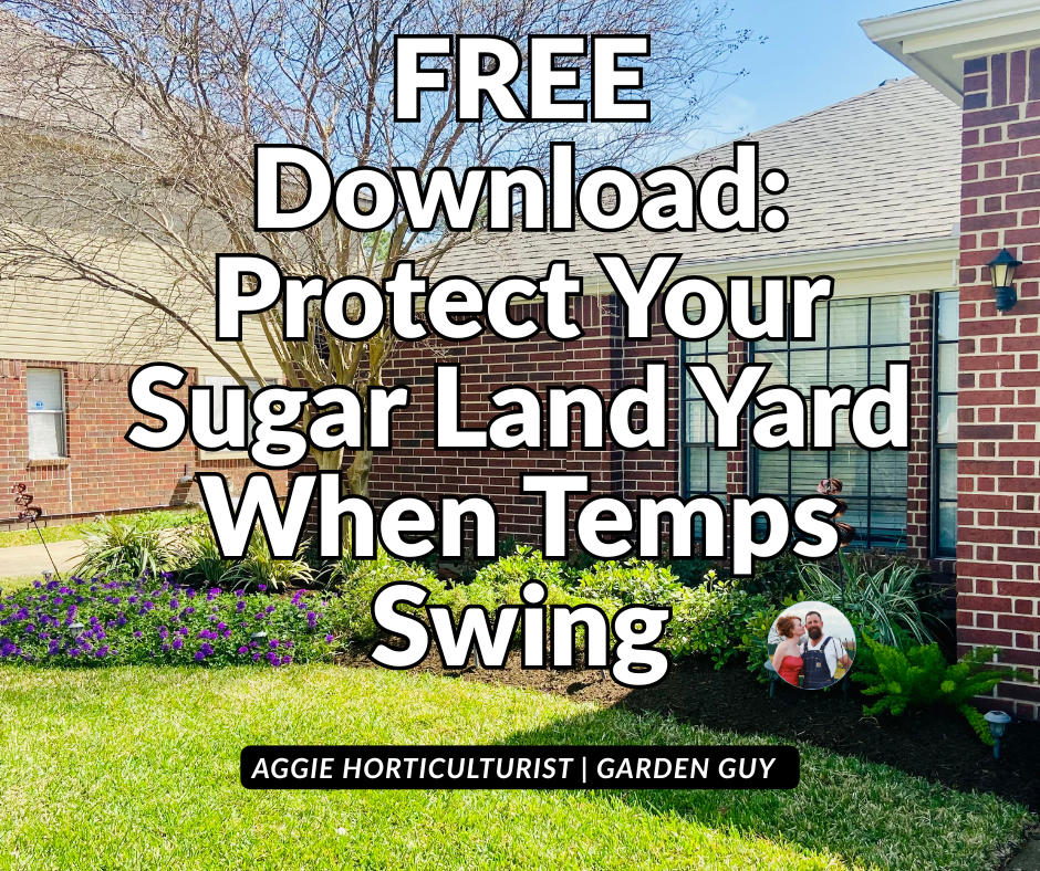 Houston's Temperature Rollercoaster: What Your Sugar Land Yard Needs When We Go From 30s to 80s in a Week