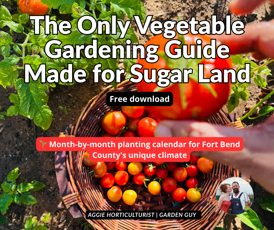 Your Complete Vegetable Gardening Guide for Sugar Land, Richmond &amp; Katy