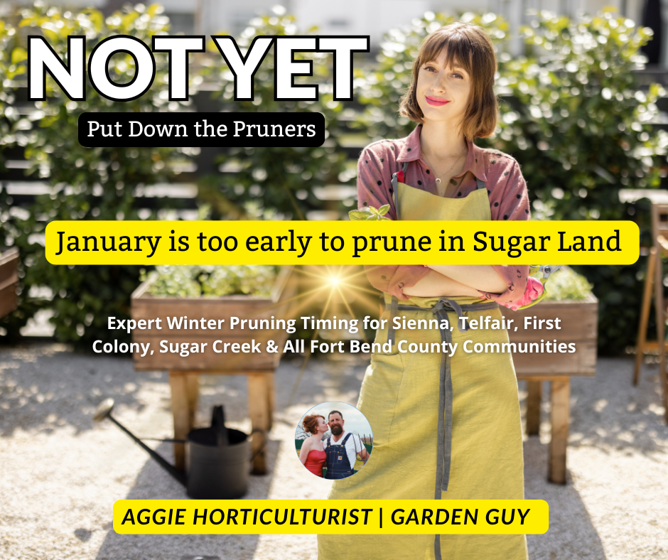 Can You Prune in January in Sugar Land? Here's What You Need to Know