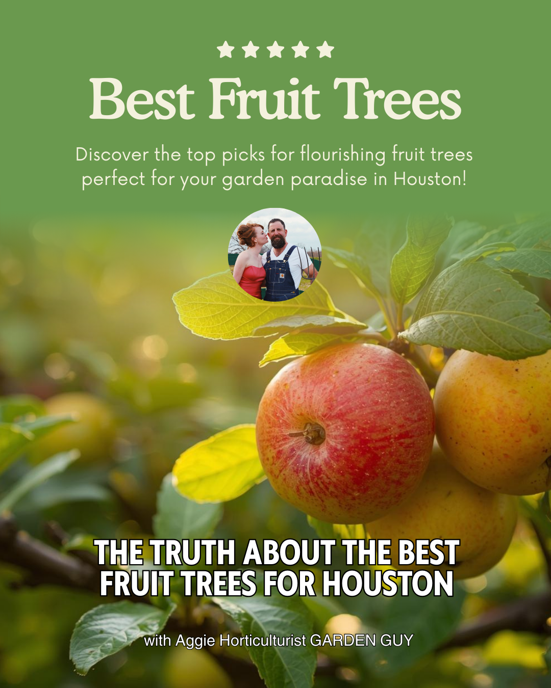 Best Fruit Trees for Houston &amp; Sugar Land: 2026 Enchanted Gardens Guide