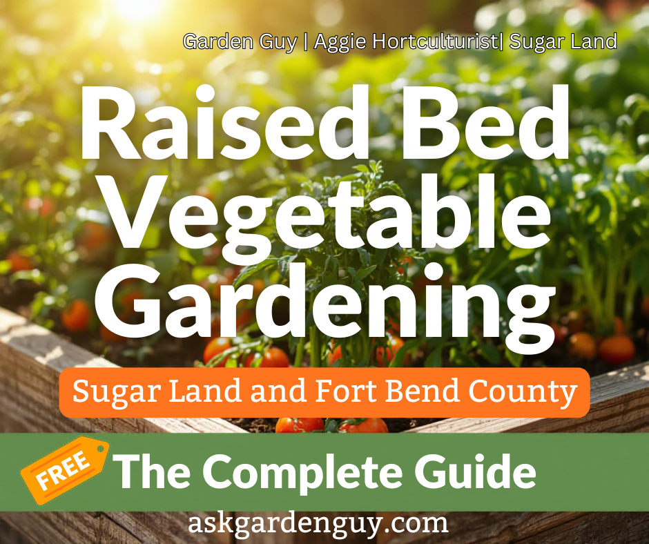 Raised Bed Vegetable Gardening for Sugar Land and Fort Bend County: The Complete Guide