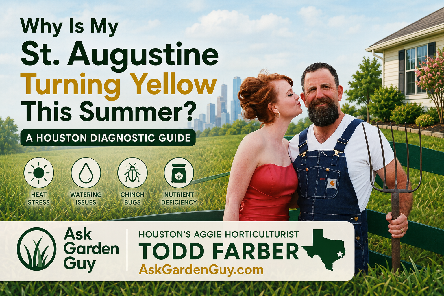 Why Is My St. Augustine Turning Yellow This Summer? A Houston Diagnostic Guide