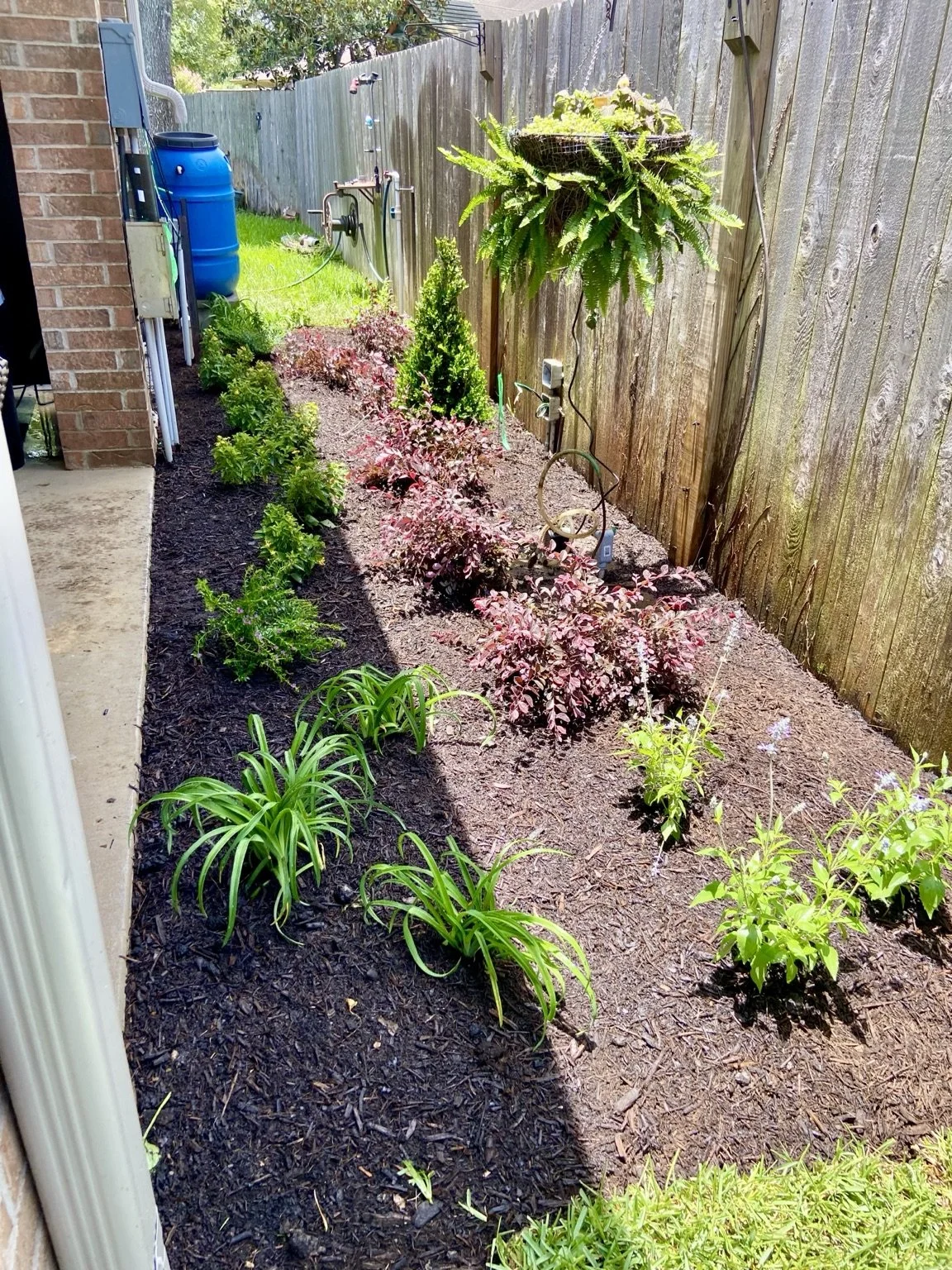 After from Garden Guy