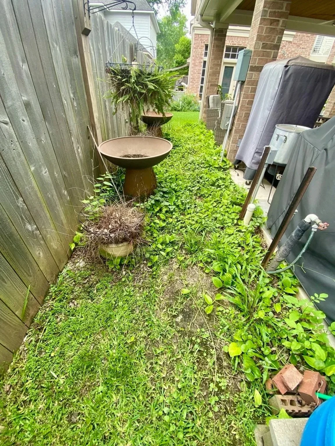 Before — the patio-side yard 