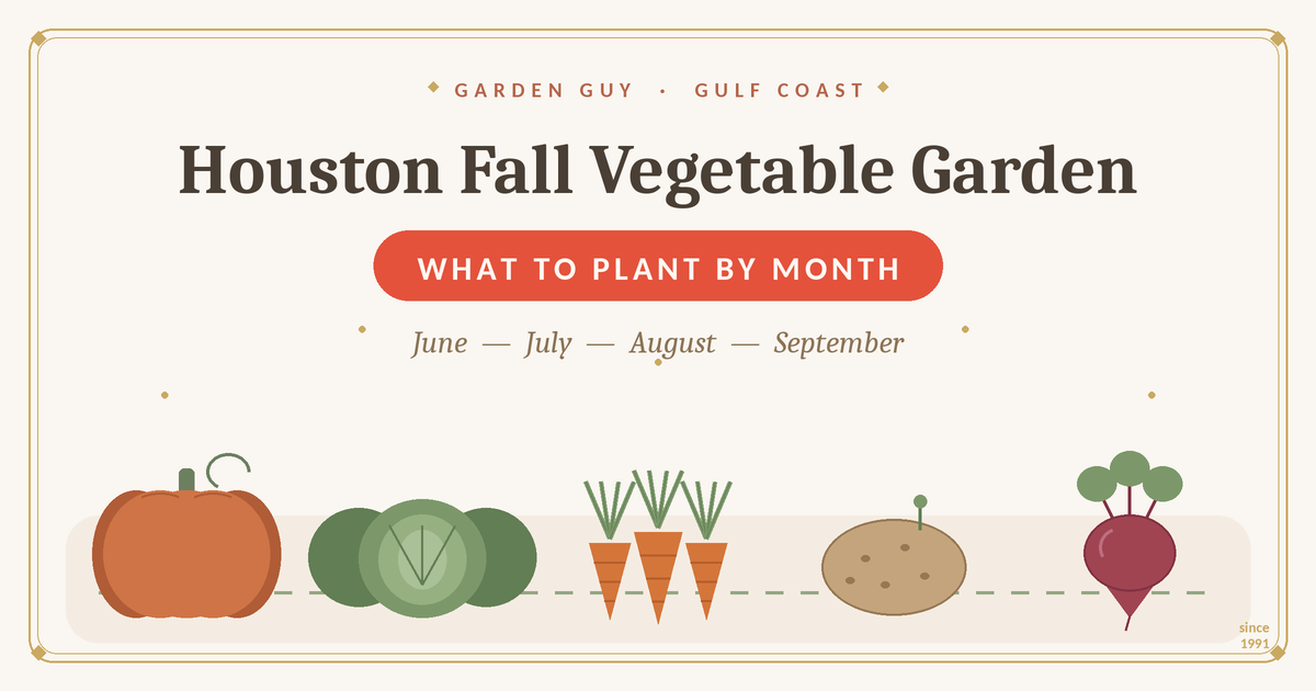 Houston Fall Vegetable Garden: What to Plant by Month