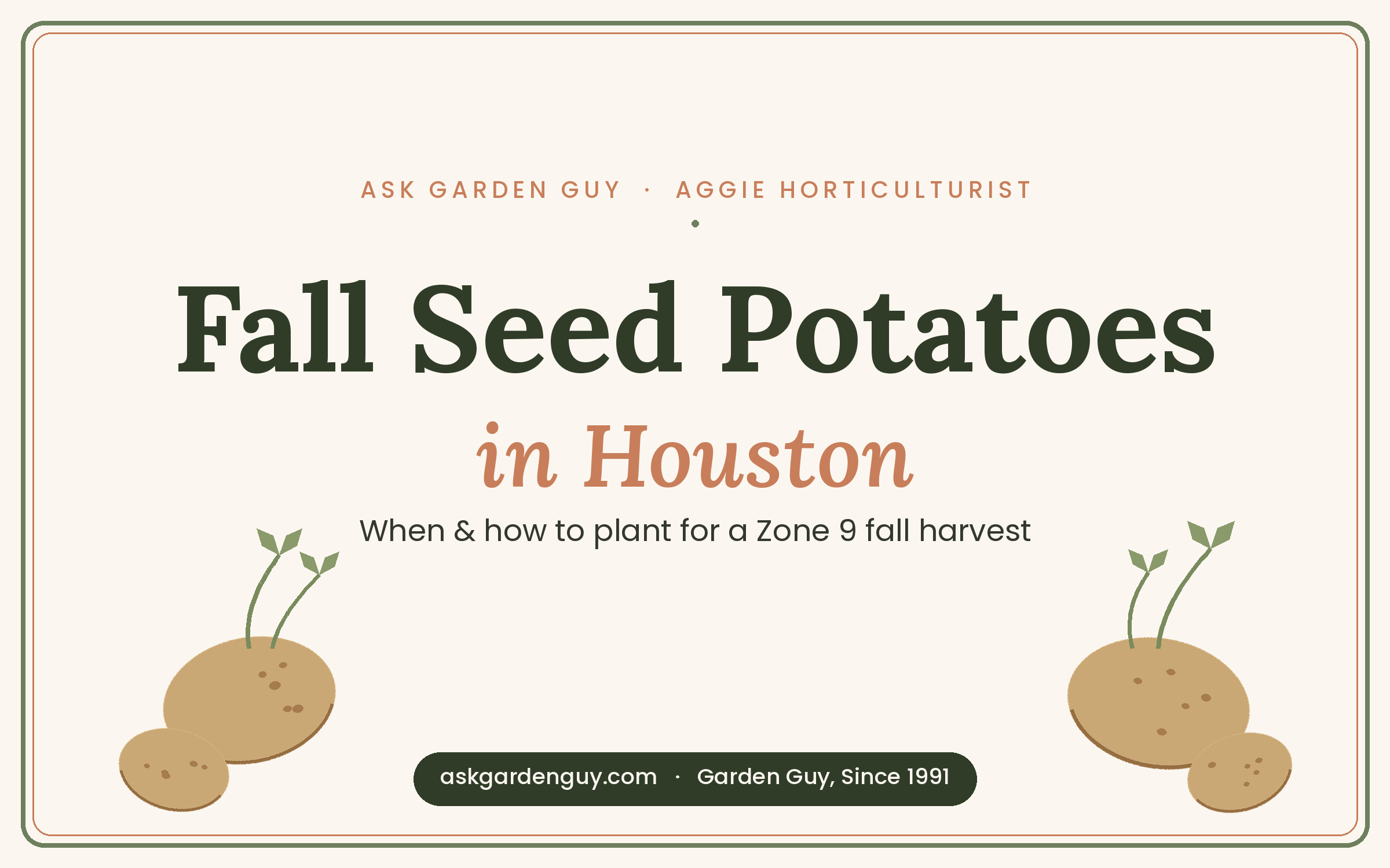 Fall Seed Potatoes in Houston: When and How to Plant Along the Gulf Coast
