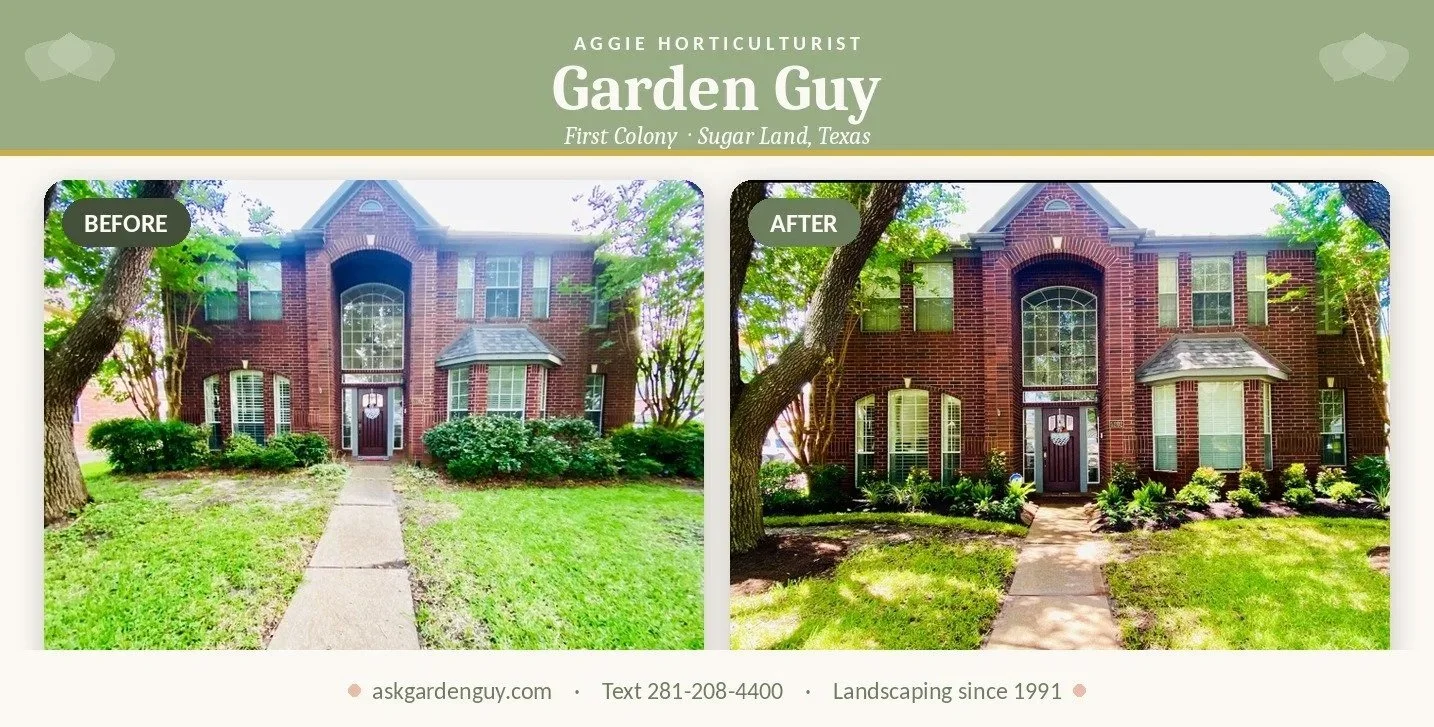 First Colony Landscape Makeover in Sugar Land 