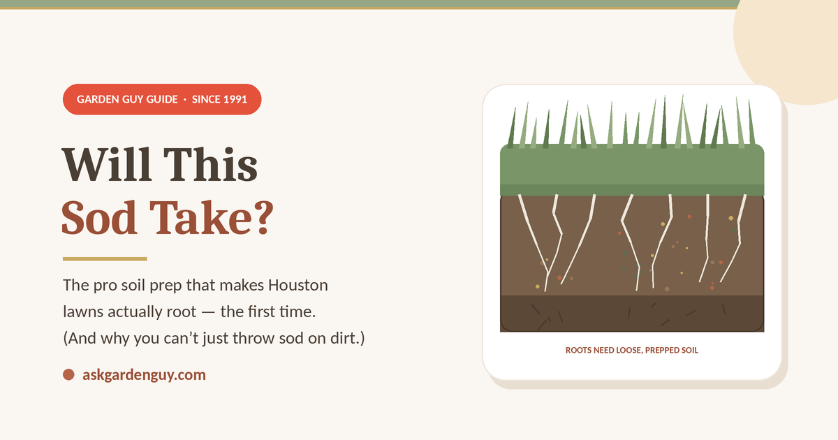 Will Sod Take on Hard Dirt? How to Prep Soil Before Laying Sod in Houston