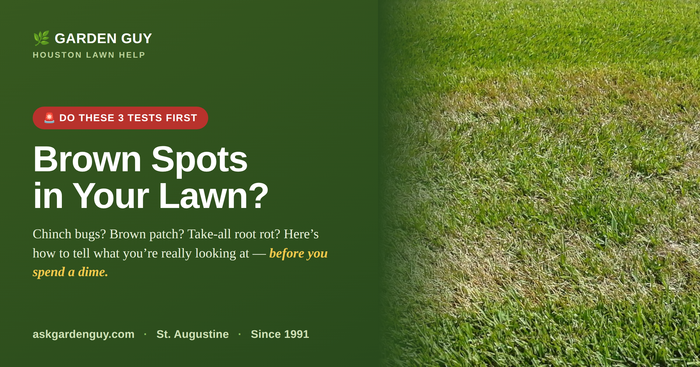 ✅ Brown Spots in Your Houston Lawn? Do These 3 Tests First