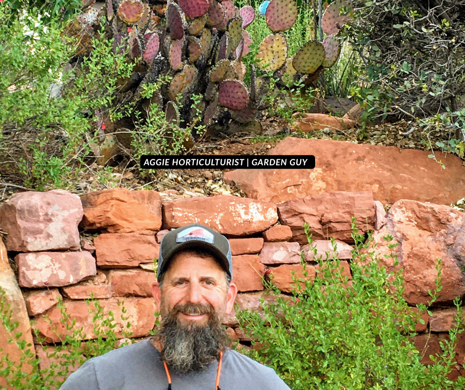 A smiling man with a gray beard and a cap standing outdoors in front of a red rock wall, green bushes, and a cactus with purple and green pads.