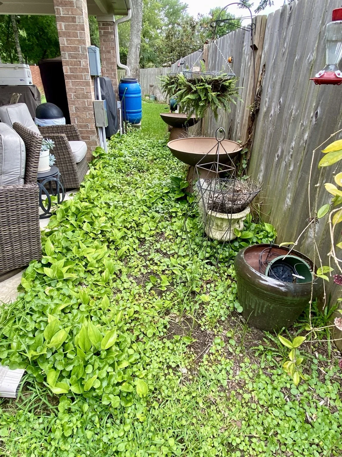 Overgrown side yard strip with weeds and clutter before makeover in Greatwood Sugar Land