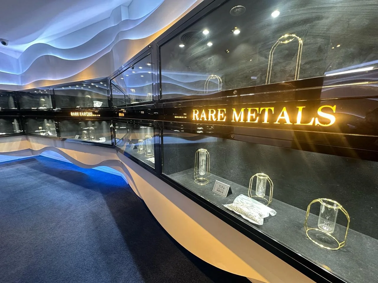 WhatsApp Image 2025-02-24 at 01.01.14-2.jpeg