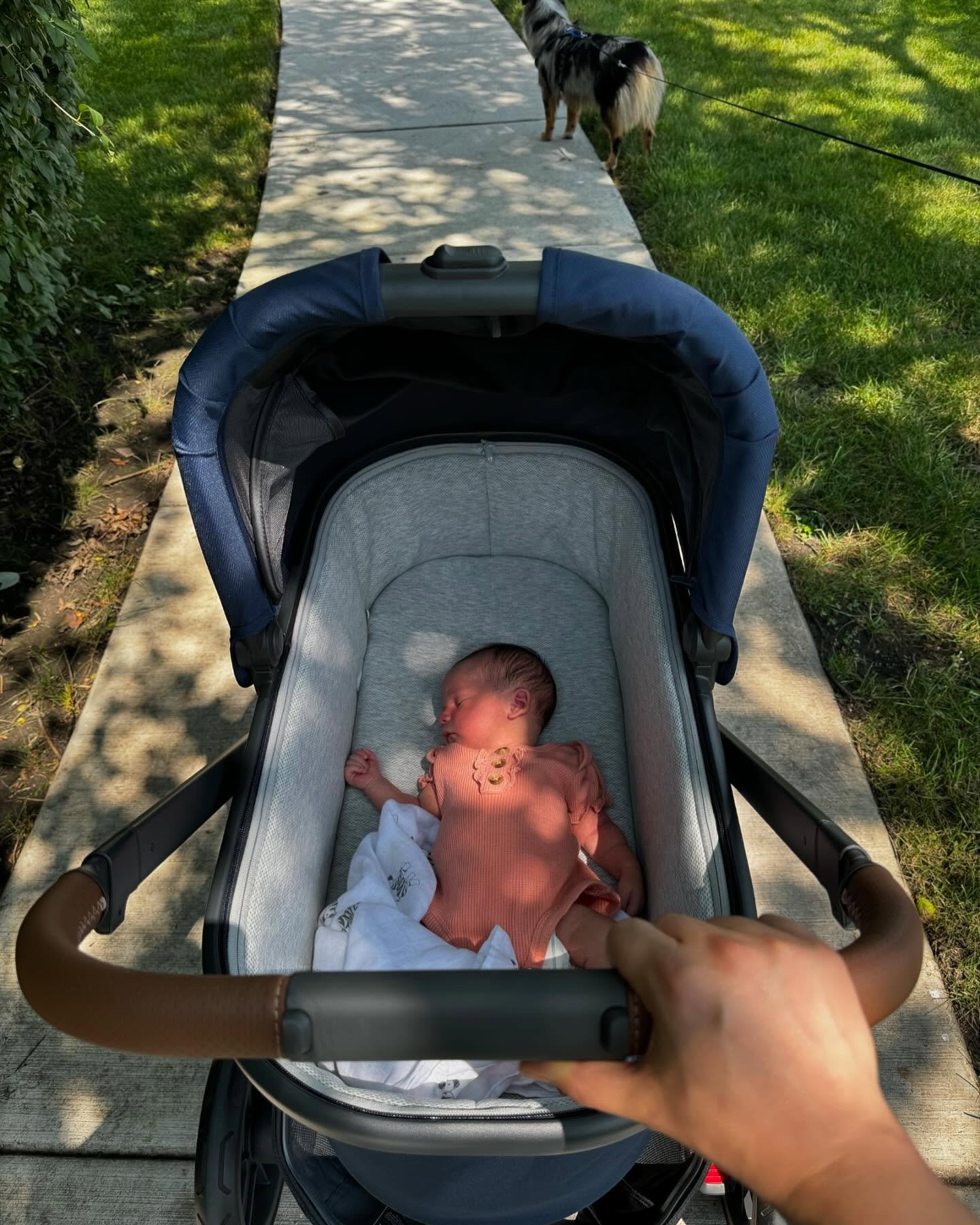 Avery Margot German entered the chat a few weeks back and we&rsquo;ve been in baby land ever since 🌺