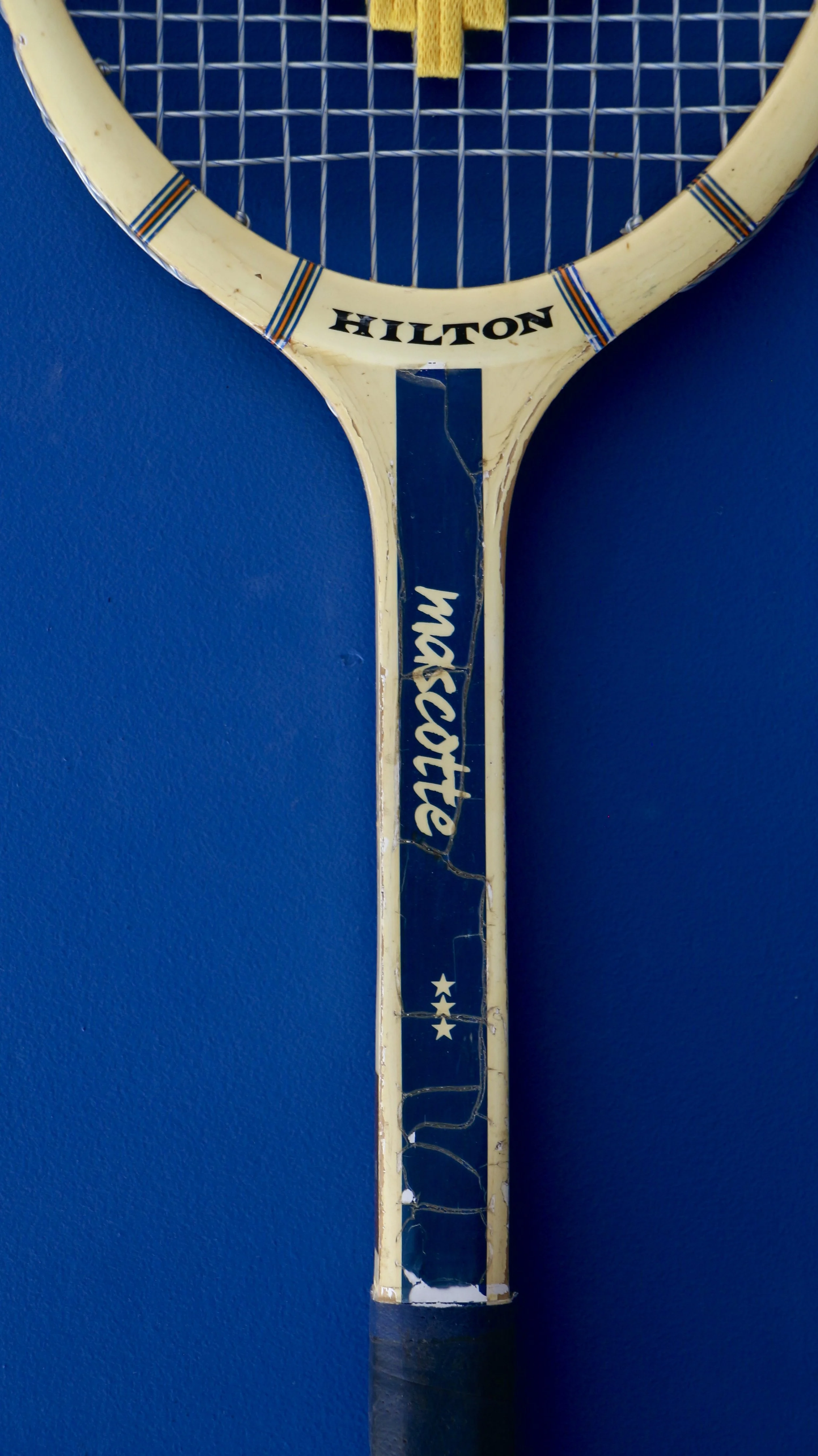 Hilton-mascotte-citron-2.JPG