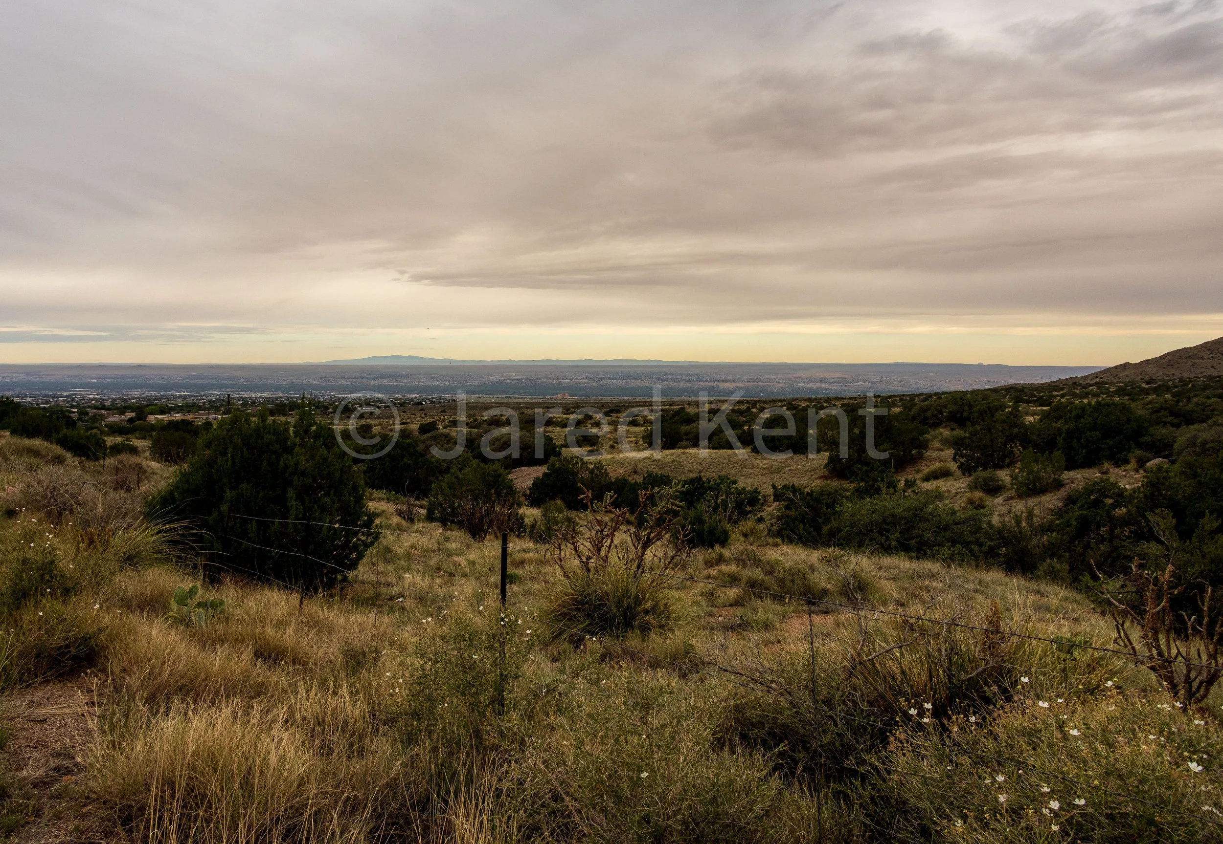 Sunrise ABQ Valley - Compressed and Watermarked.jpg