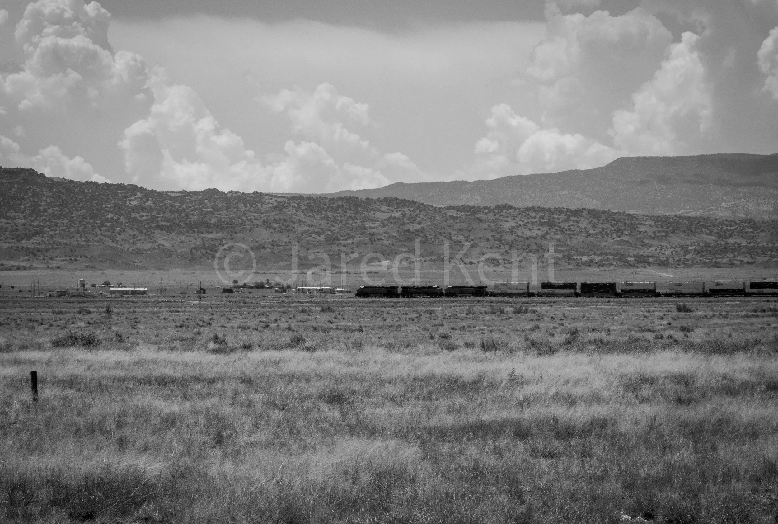 Desert Train Black and White - Compressed and Watermarked.jpg