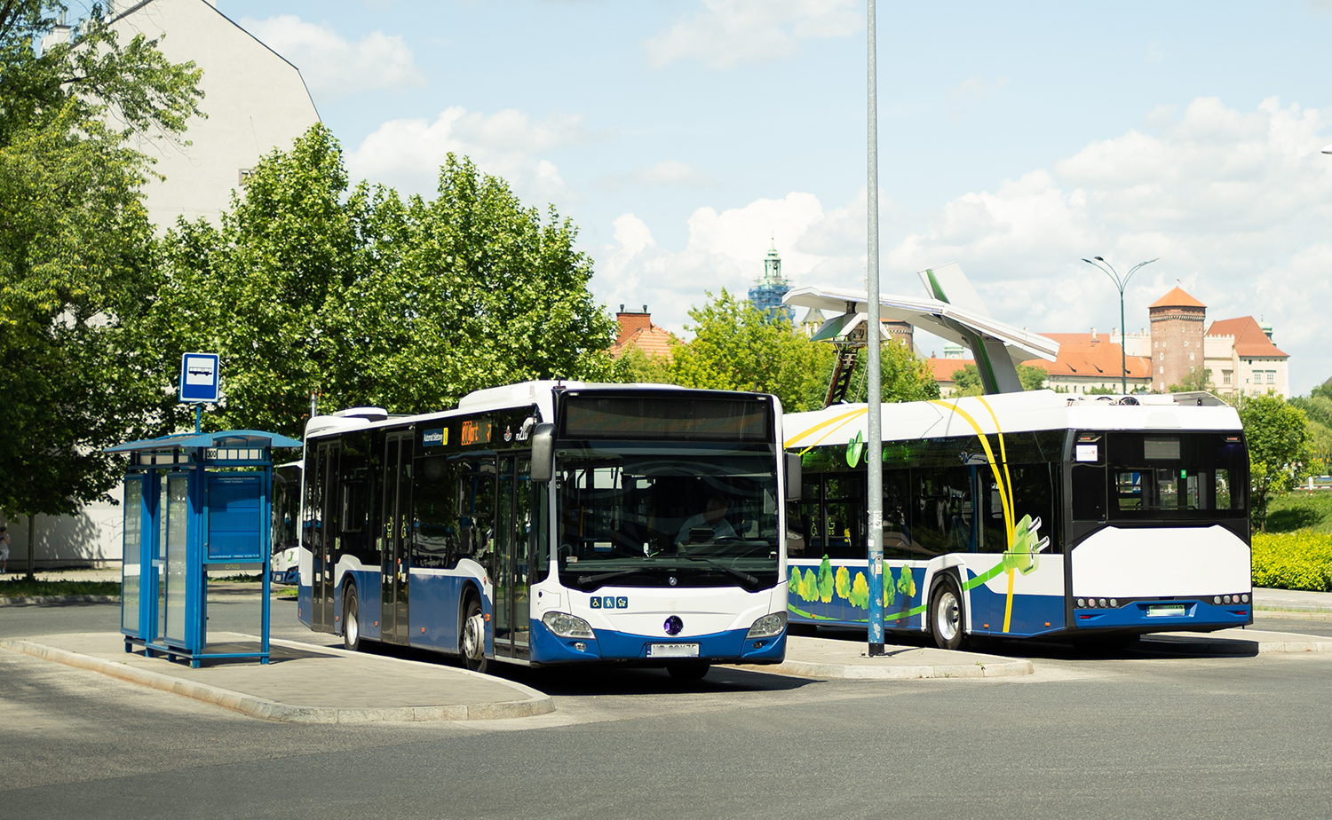 Navigating the Transition to Zero-Emission Buses: Lessons from Real-World Deployments