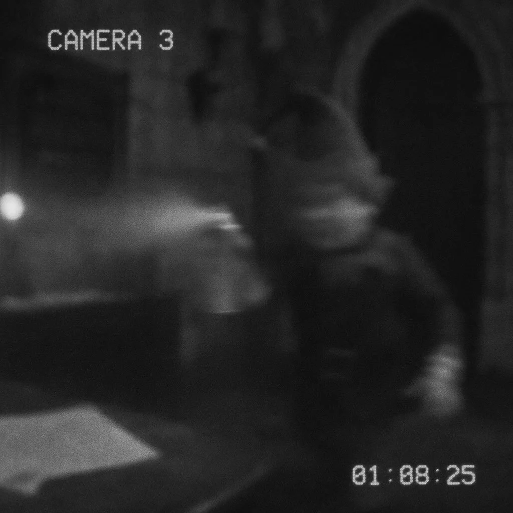 We got a notification from our security cam and somehow went from spotting an elf to standing in spray &ldquo;snow&rdquo; everywhere. Theodore is attempting damage control. Baxter is enjoying himself, yelling with joy, &ldquo;Oh how festive, I need t