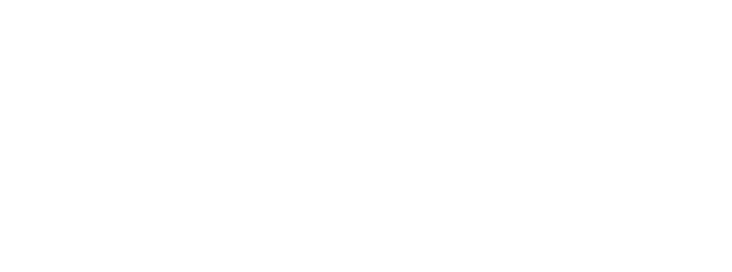 SDS-LOGO-V1-11.png