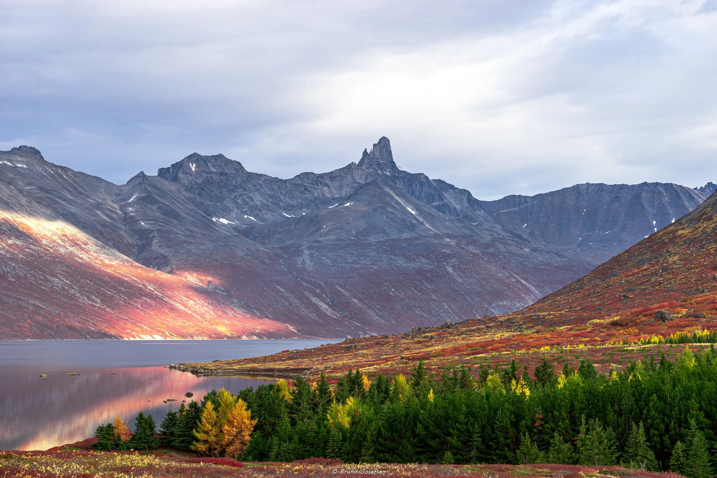 Orpiit ikkussukkat avannaatungaanilu Napasorsuaq