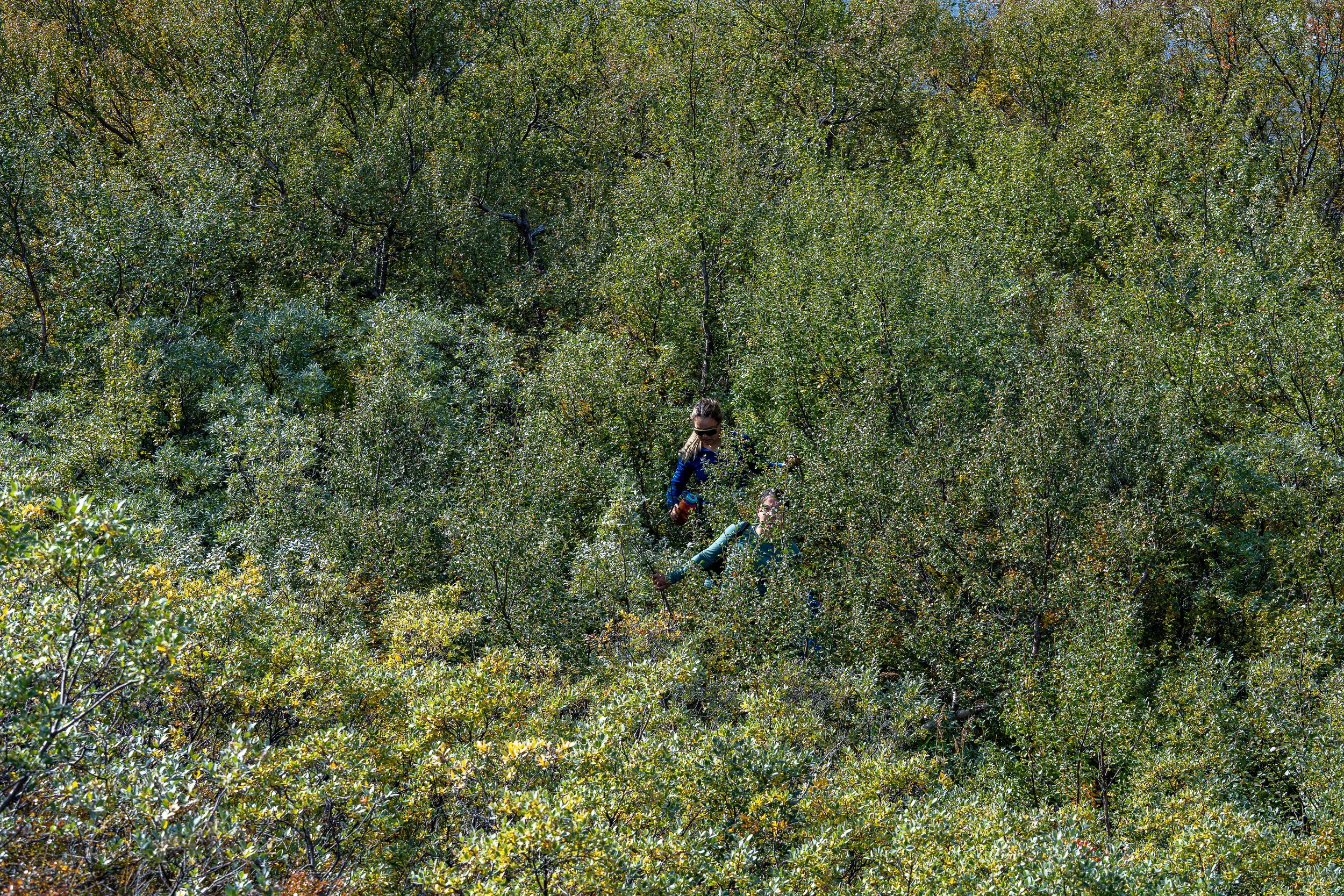 Inuit marluk takusinnaavisigit?