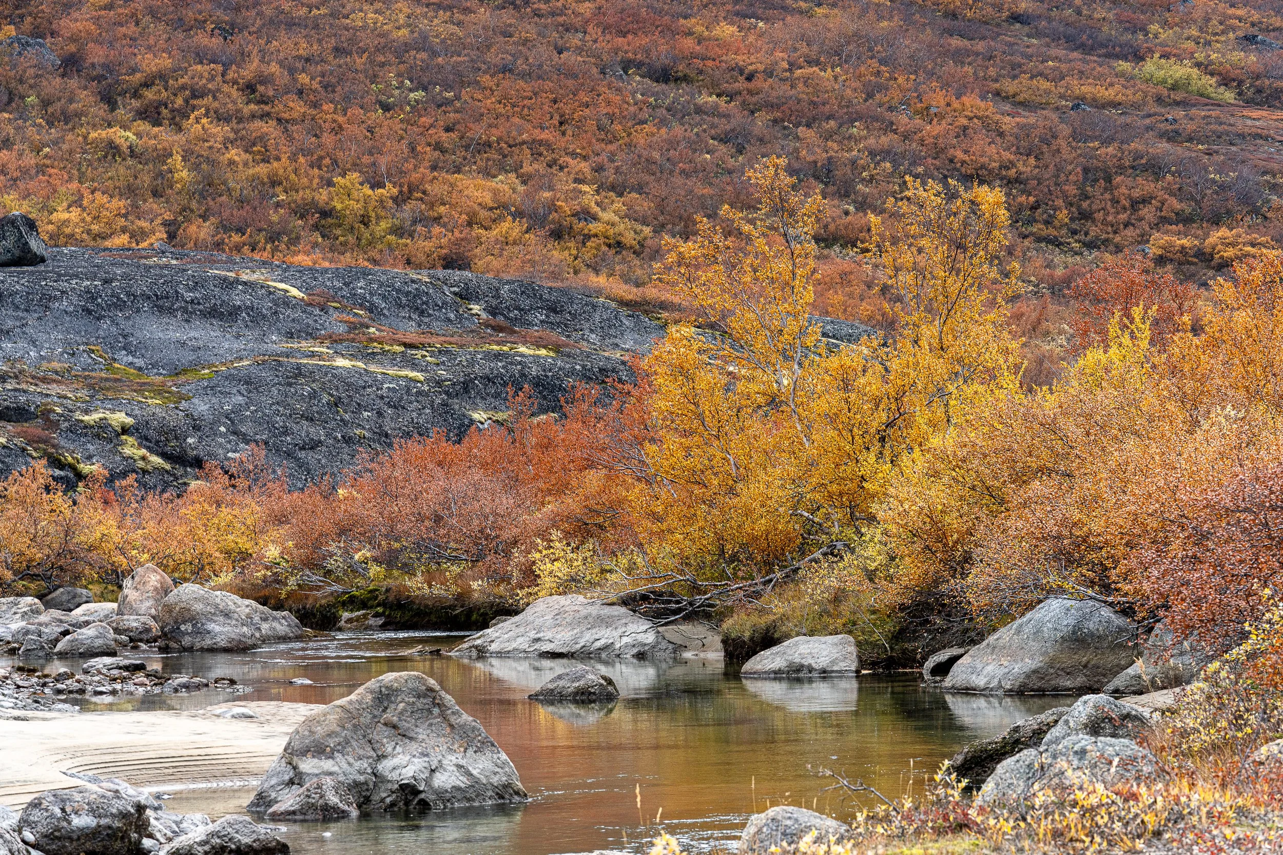 Autumn colors in Tasermiuttaat / Kloster Dalen