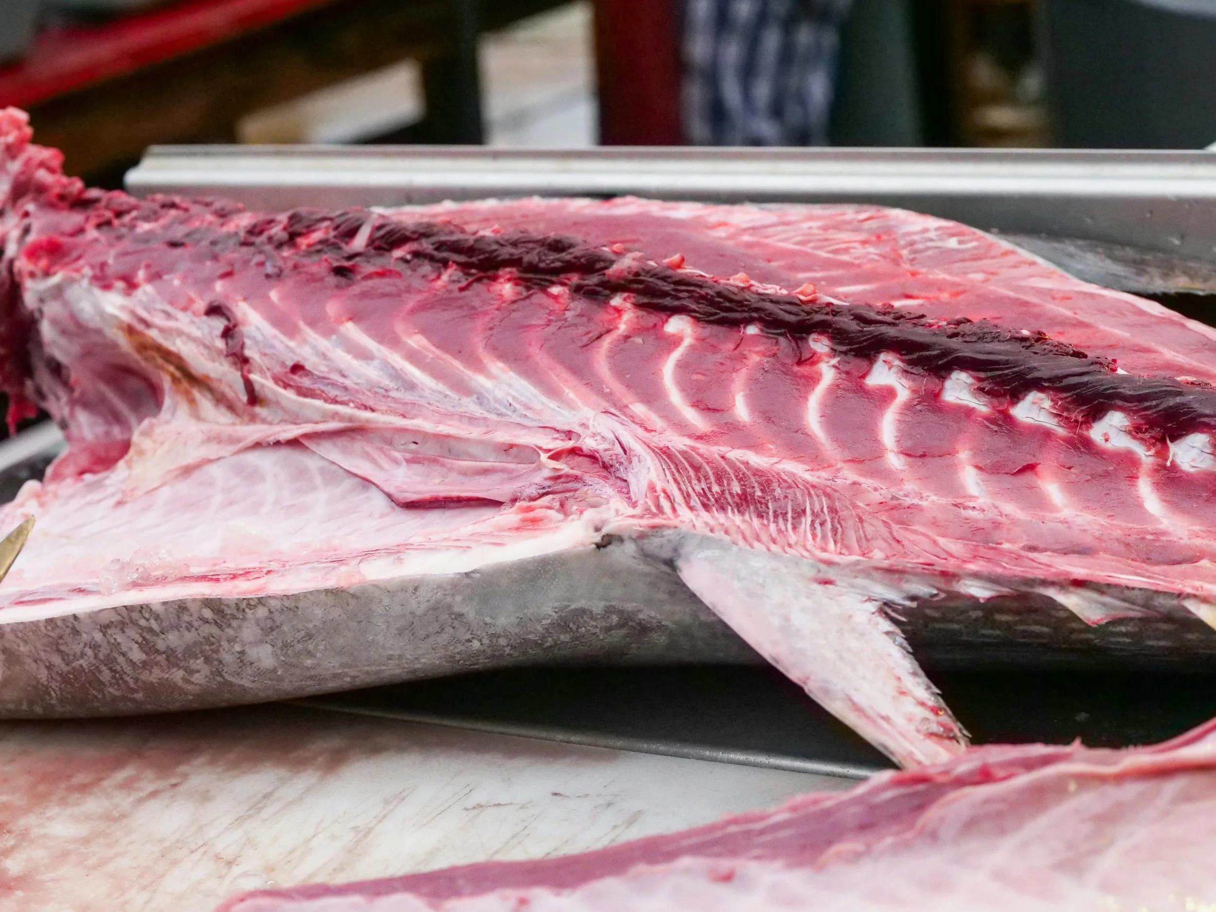 Tuna Market