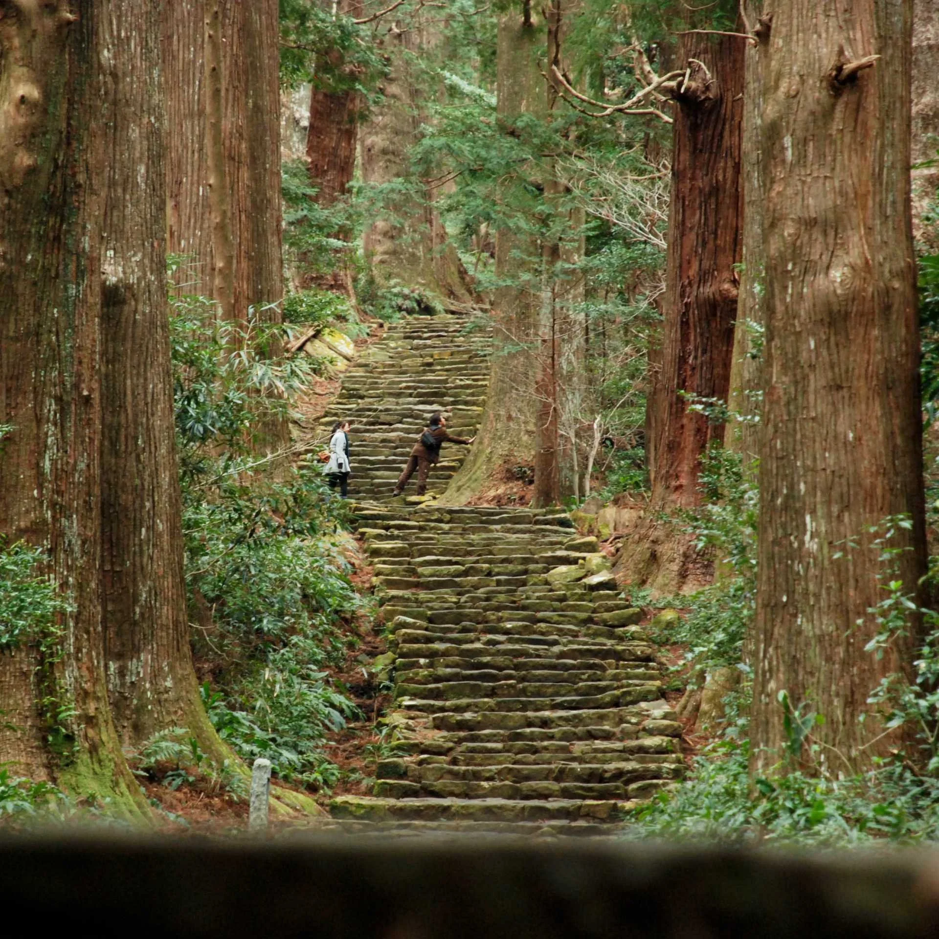 Daimon-Zaka_-Kumano-Kodo_-Japan-1005009-1920px.jpg