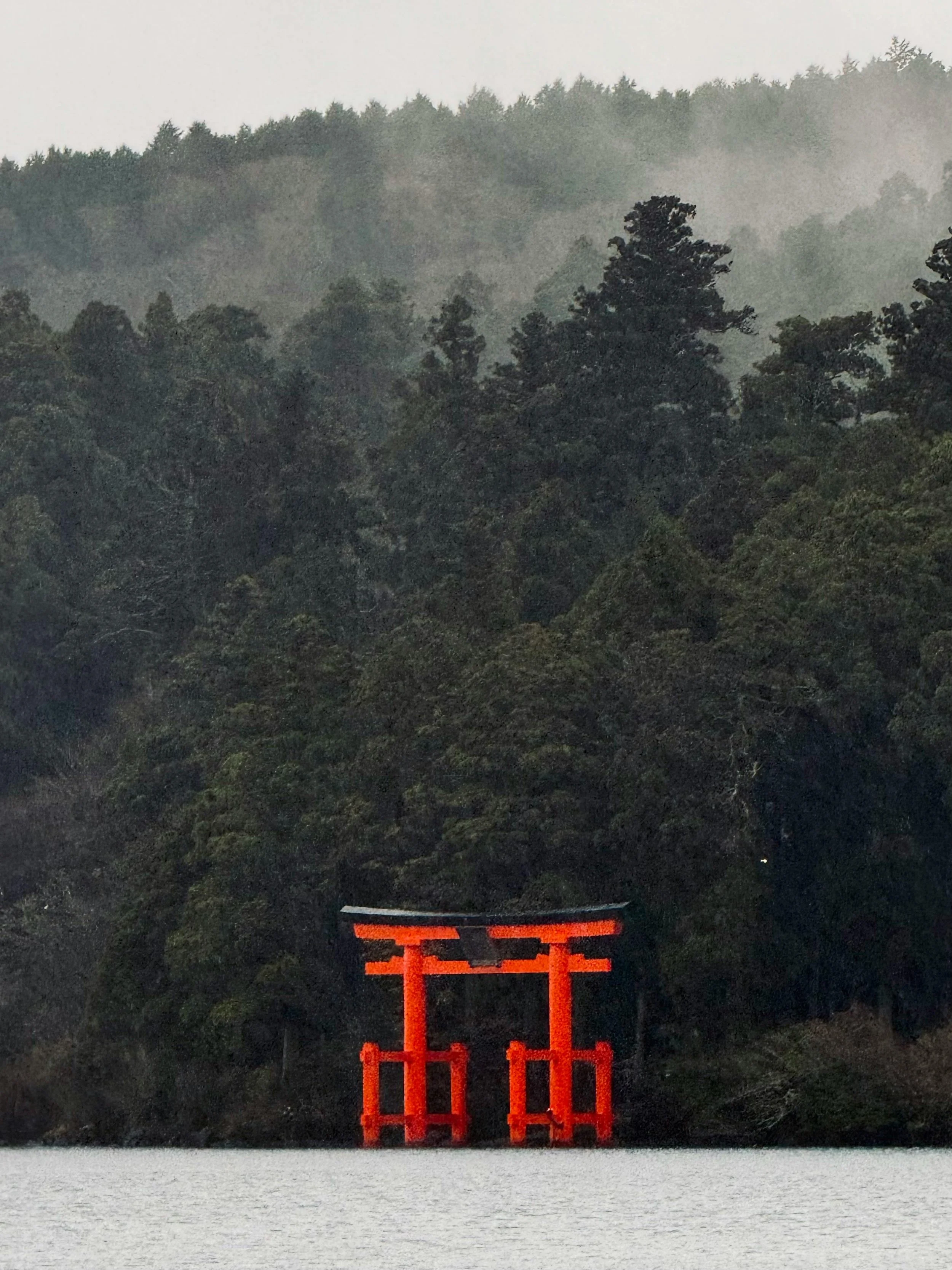 pexels-shu-xin-yu-1187626298-32401196.jpg