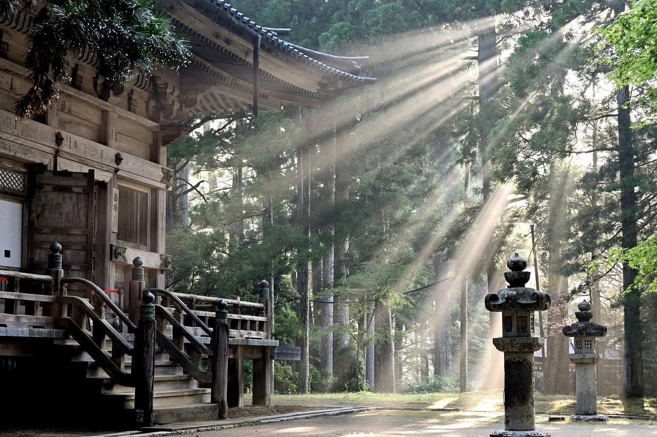 Un santuario tradicional japonés hecho de madera, rodeado de árboles y con rayos de sol que atraviesan las hojas, iluminando el camino y linternas de piedra en el exterior.