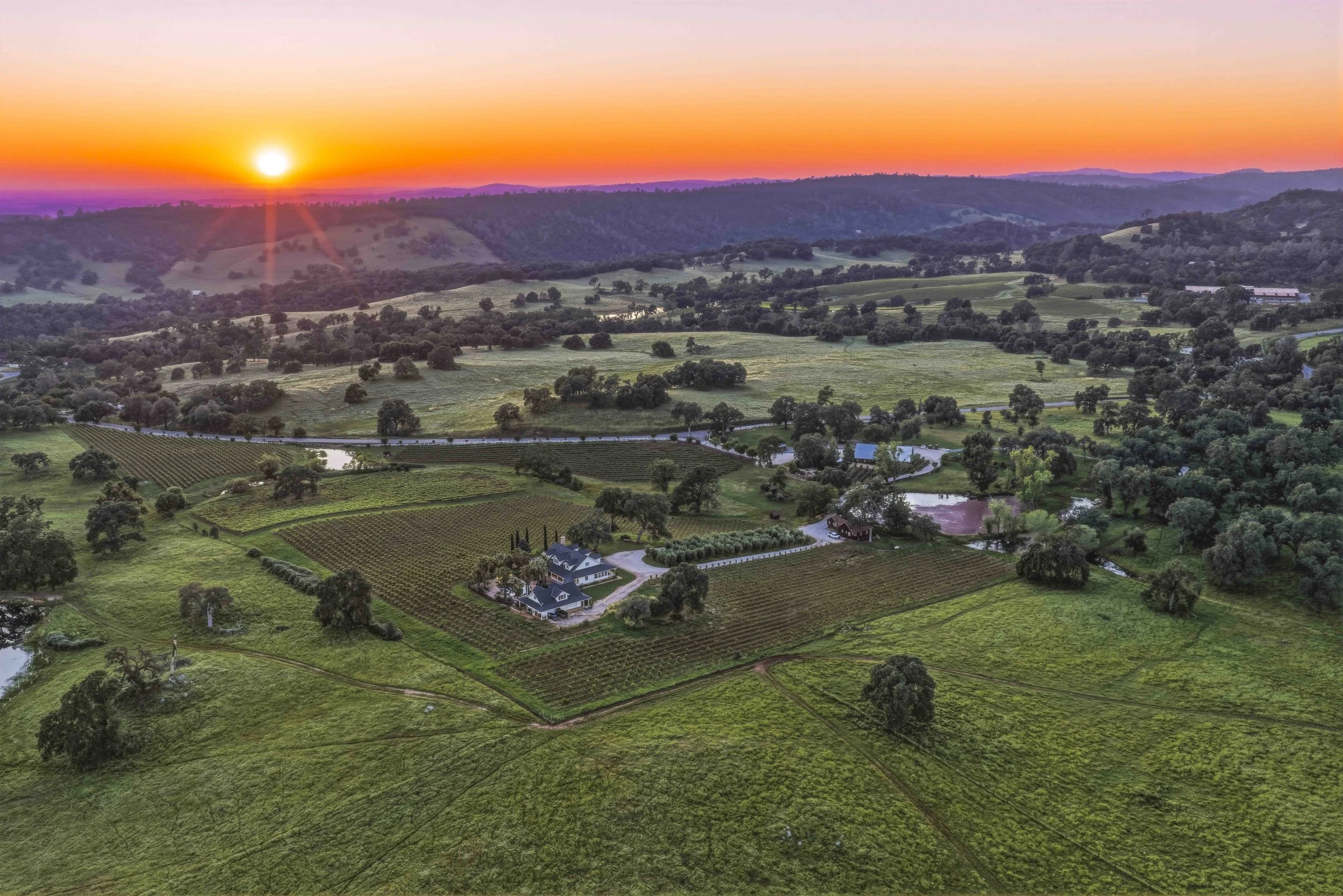 Young's Vineyard Twilights - _23.jpg