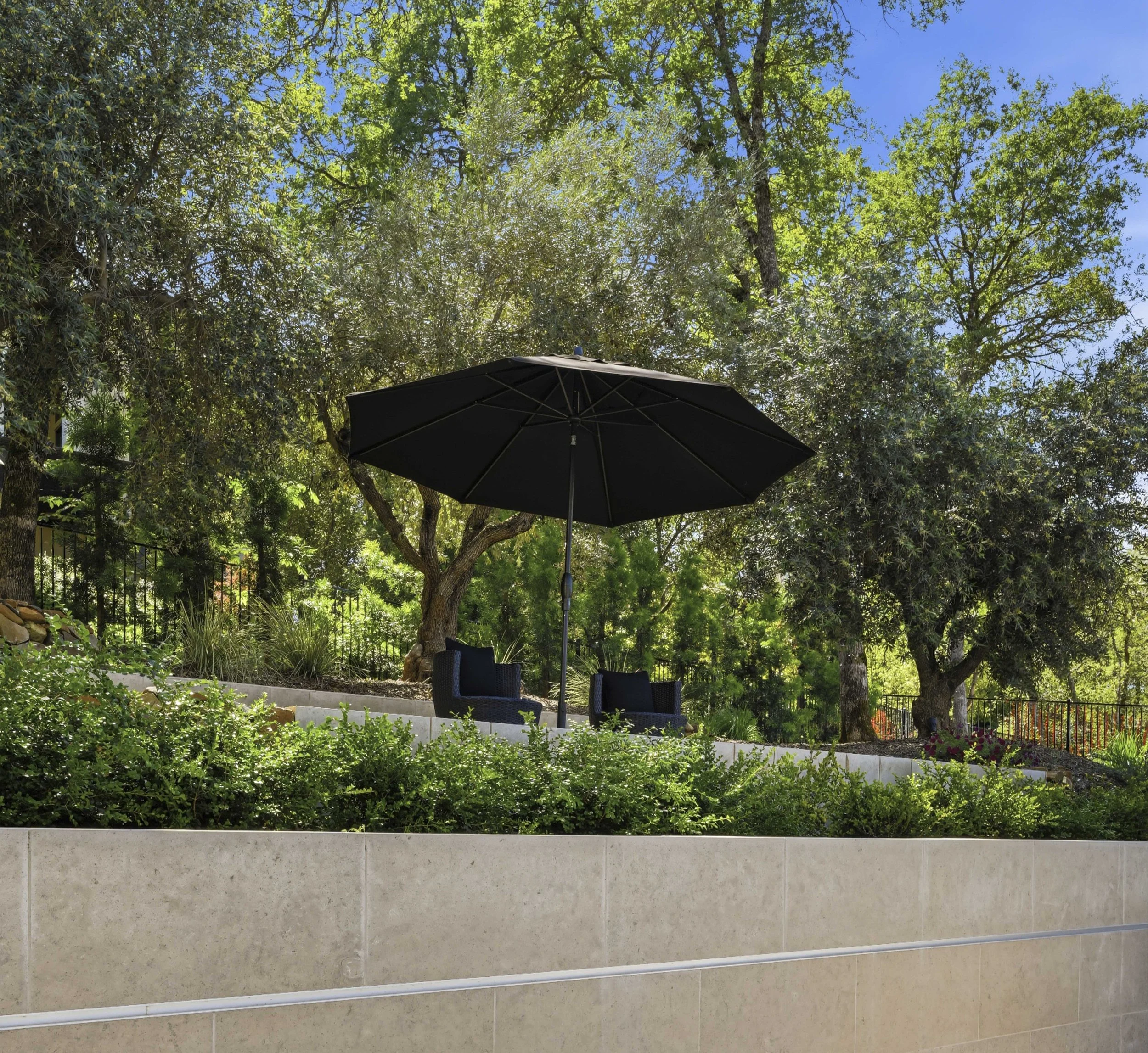 4200 Raphael 143.jpg