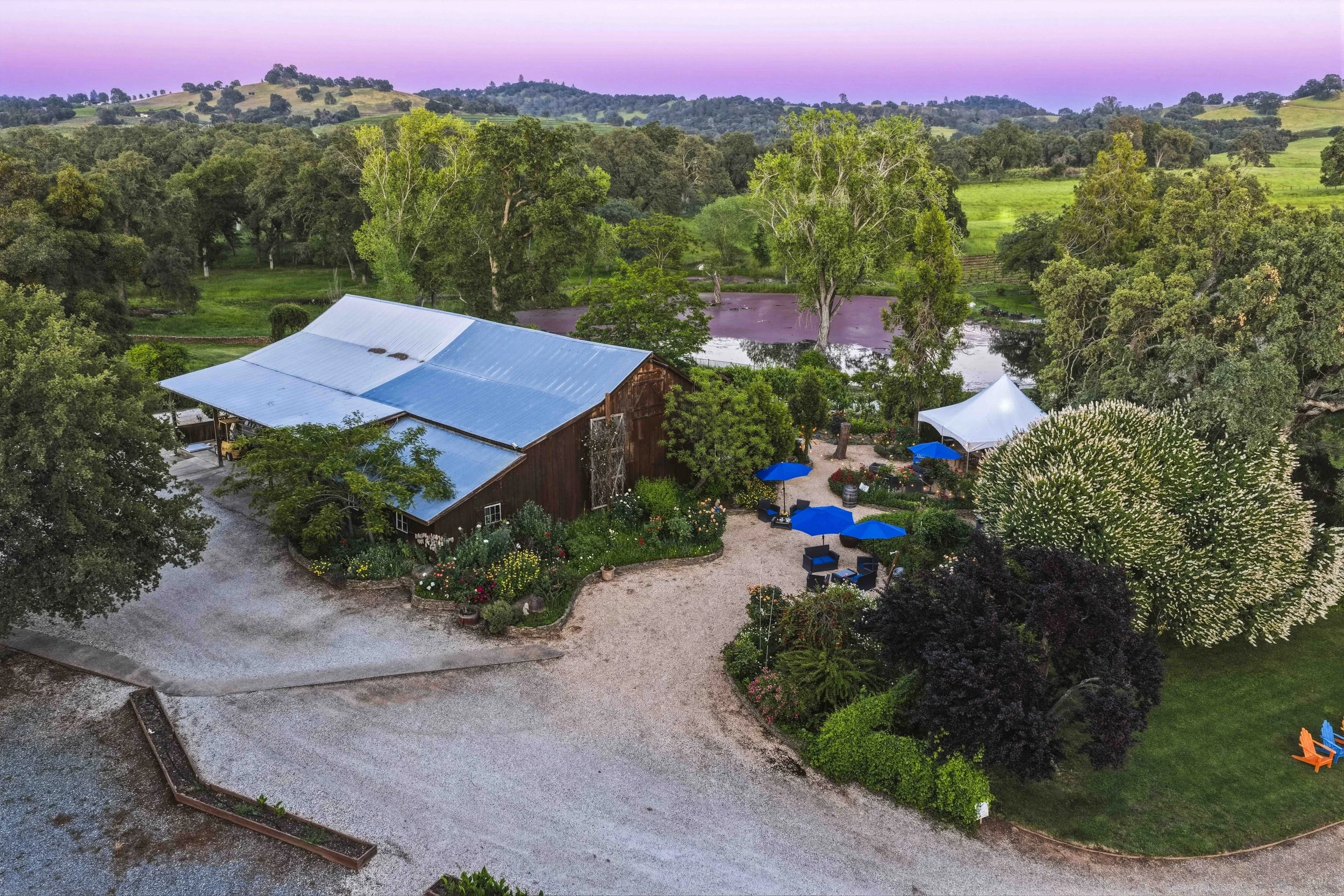 Young's Vineyard Twilights - _29.jpg
