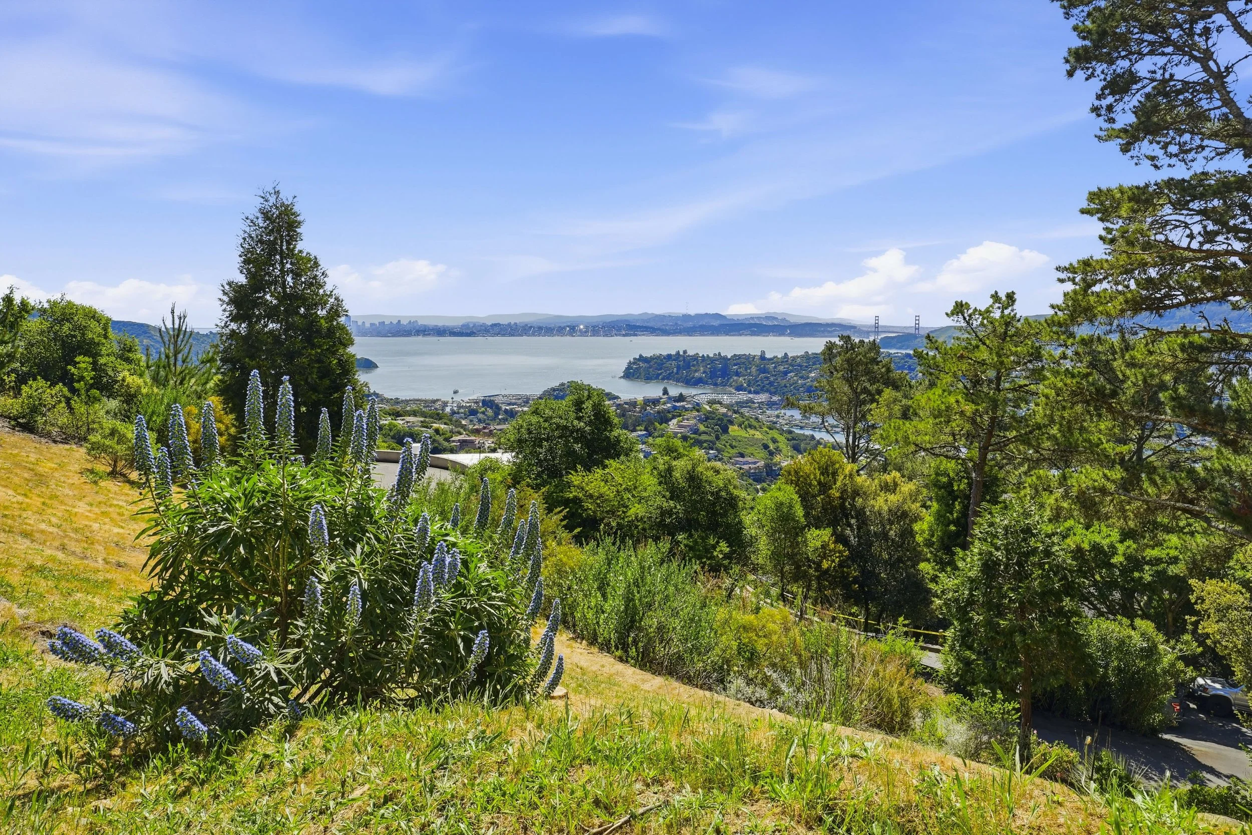 107 Mount Tiburon 36.jpg