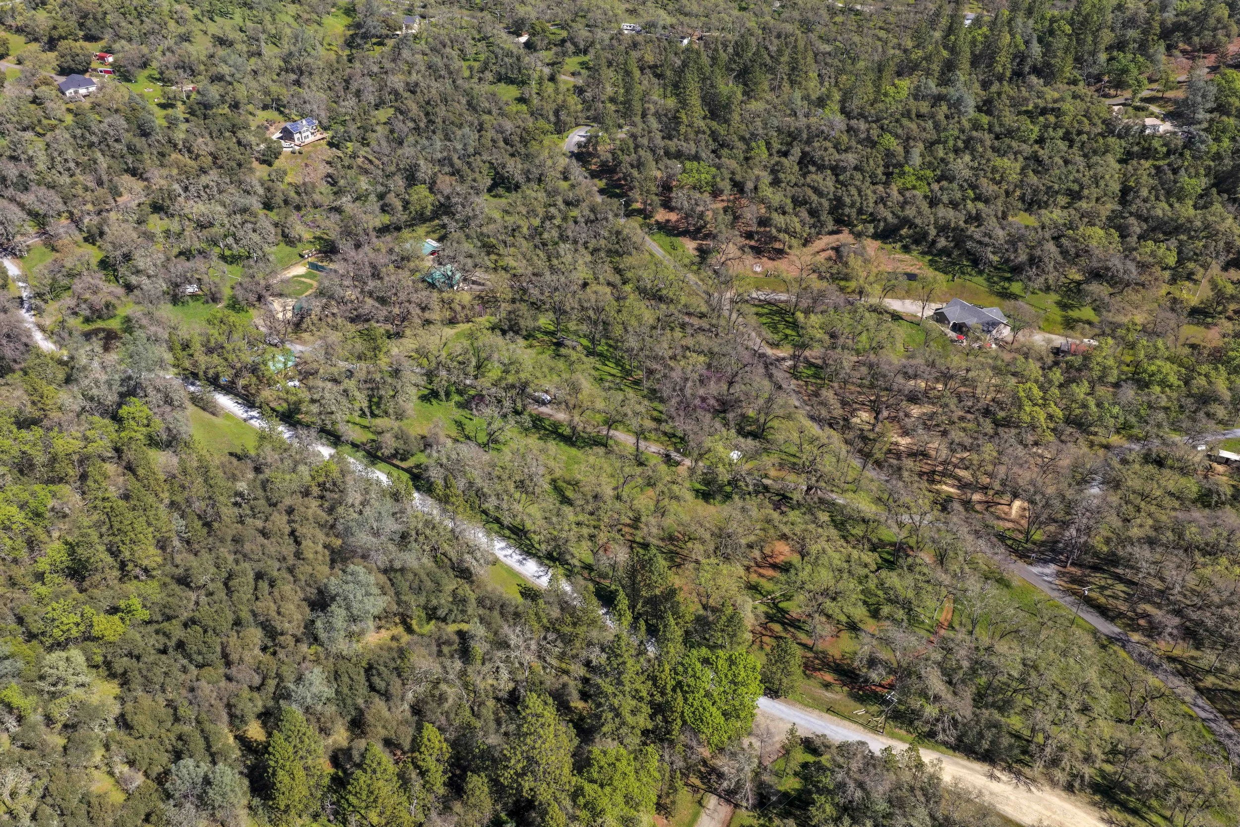 1105 Burnt Shanty Creek Rd 2.jpg