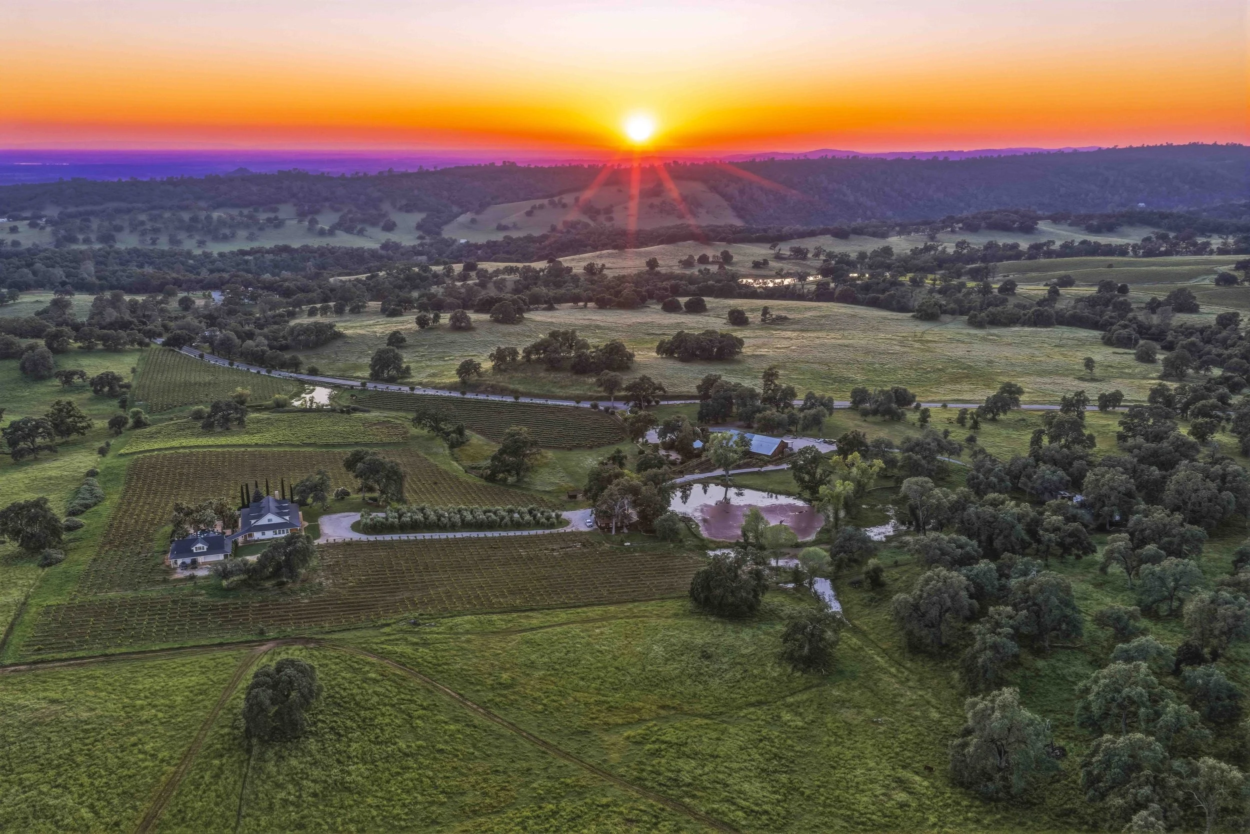Young's Vineyard Twilights - _24.jpg