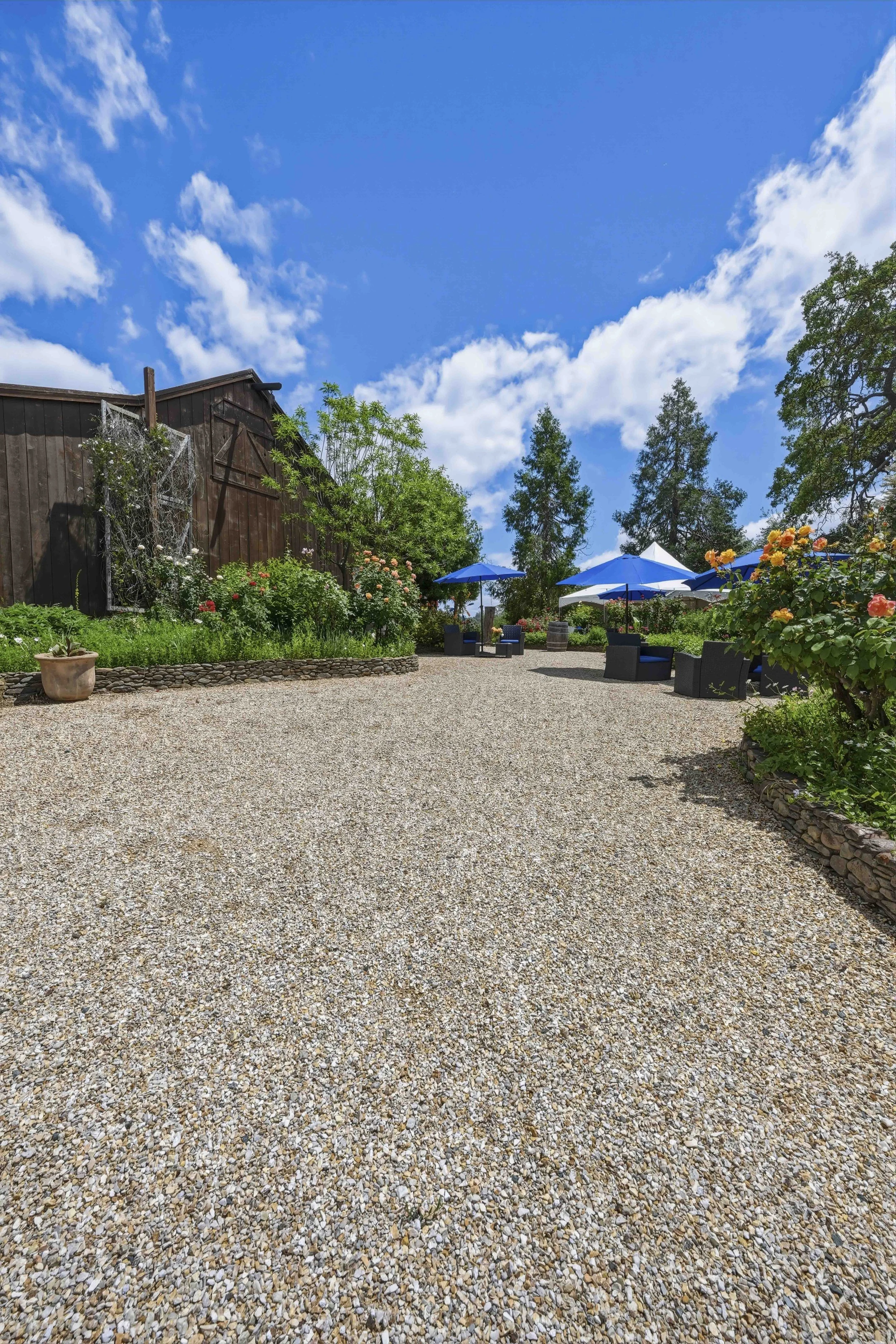 Young's Vineyard - 106.jpg
