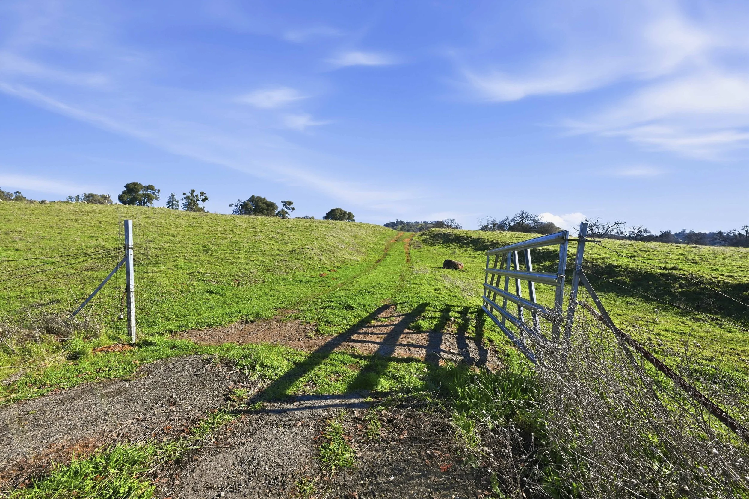 11777 Shenandoah Rd 5.jpg