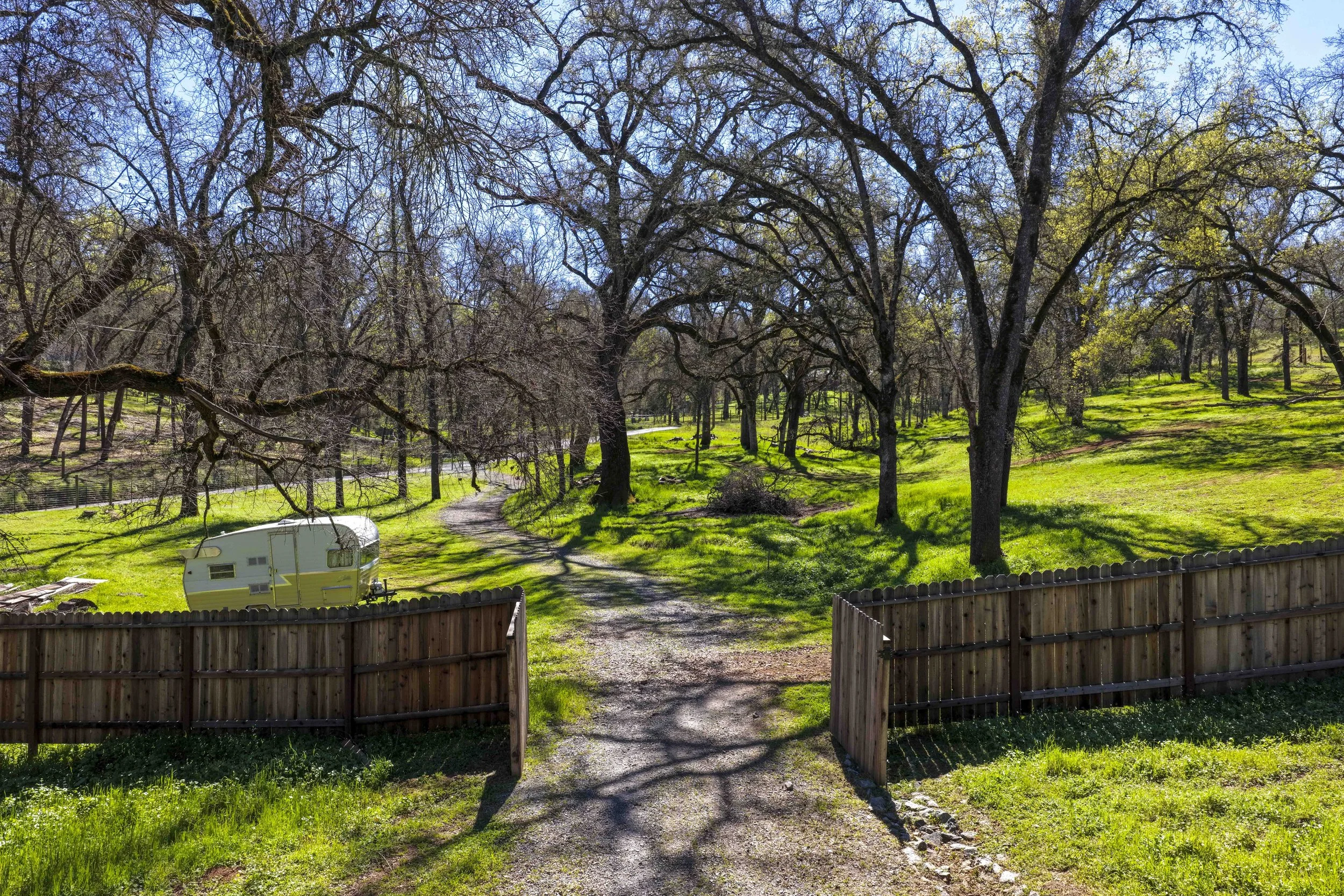 1105 Burnt Shanty Creek Rd 13.jpg