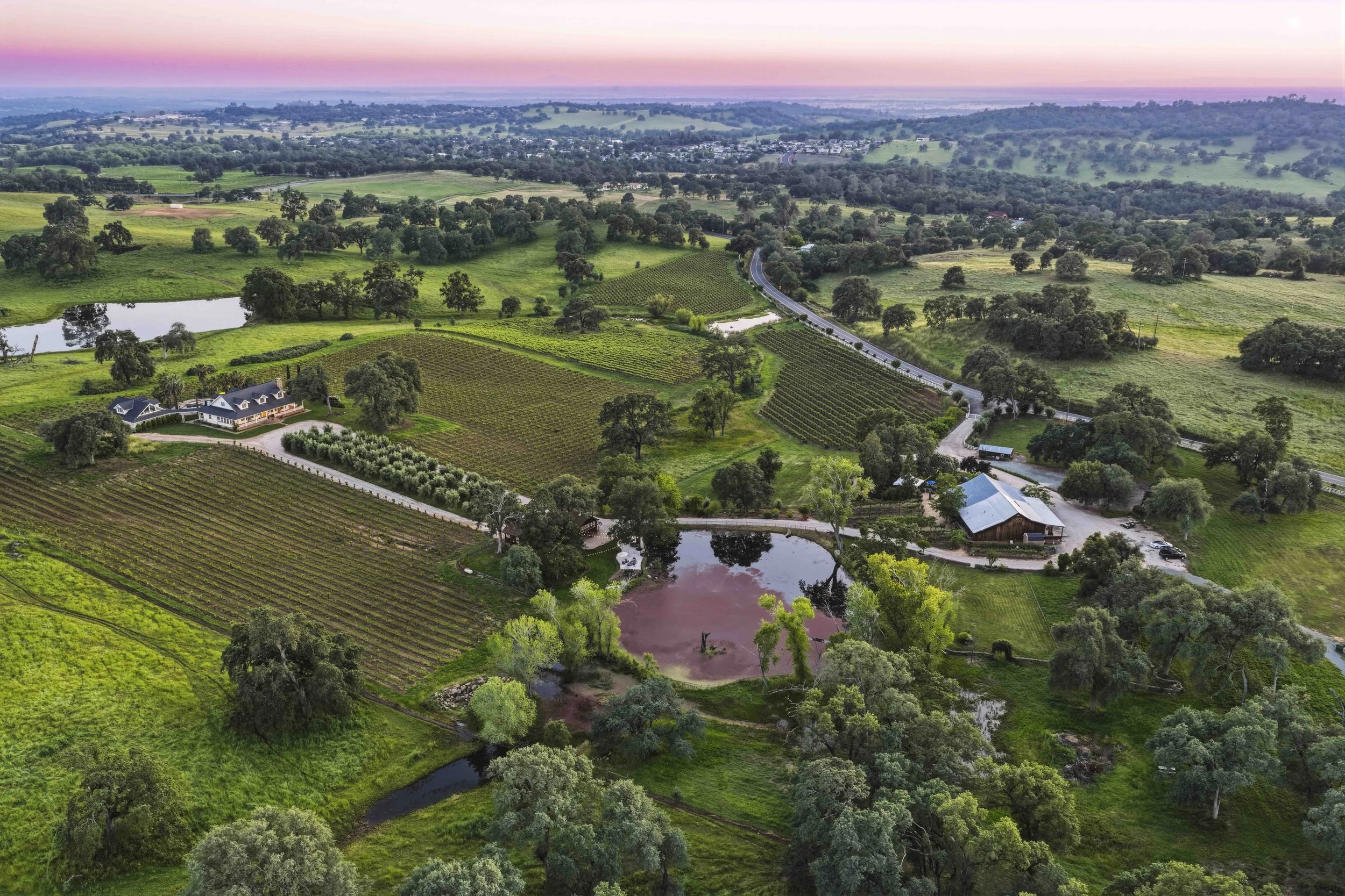 Young's Vineyard Twilights - _25.jpg