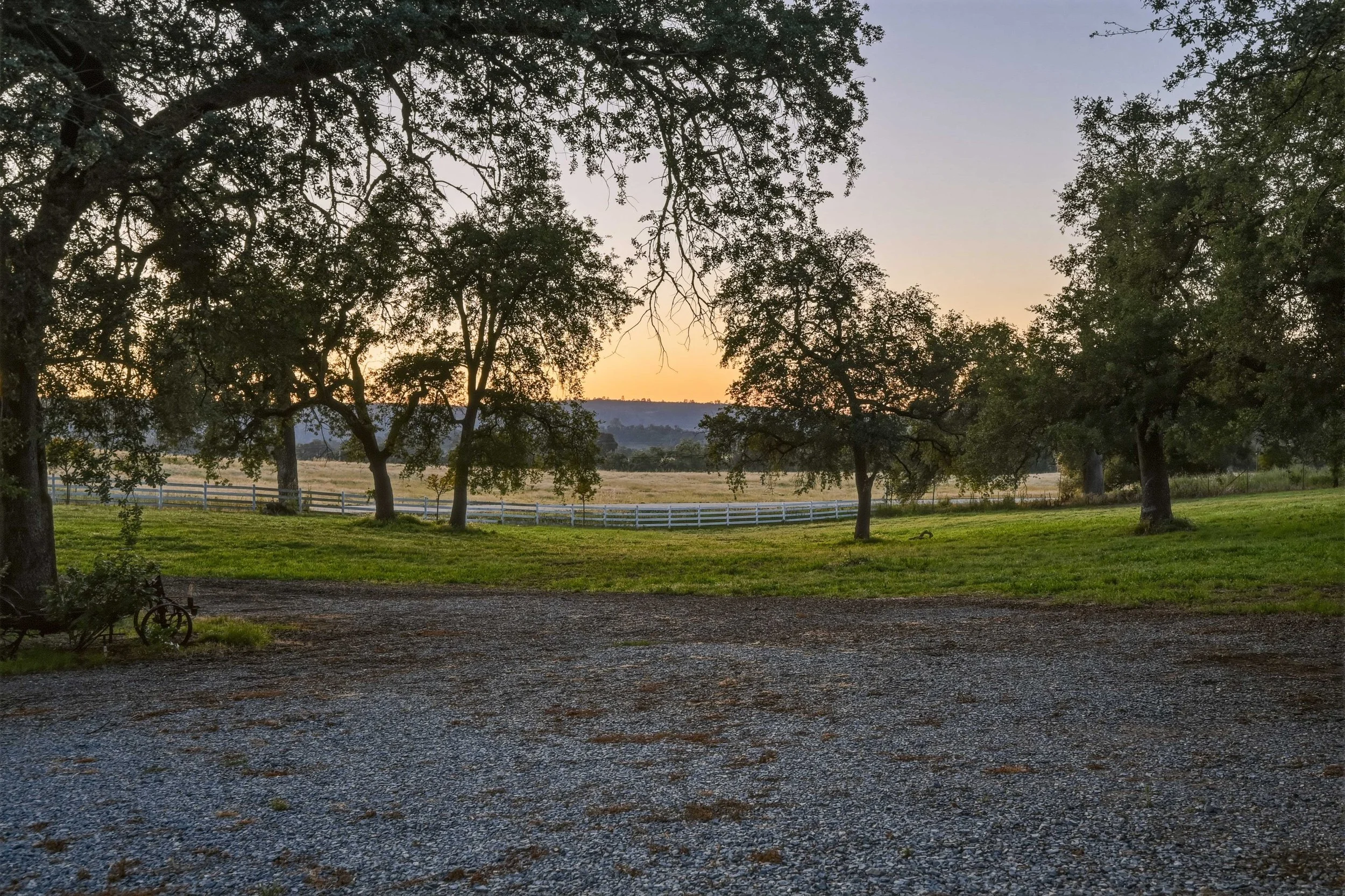 Young's Vineyard Twilights - _65.jpg