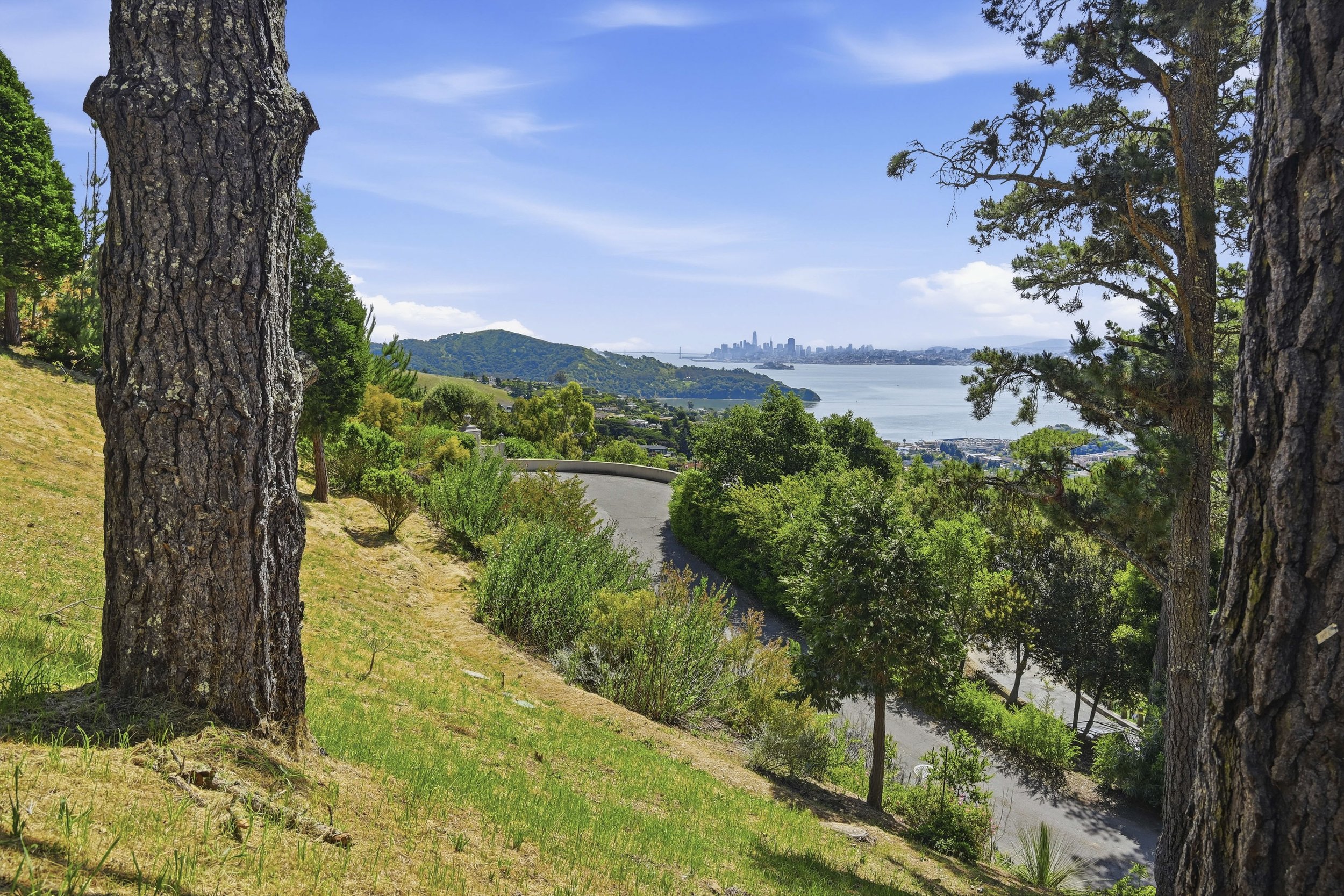 107 Mount Tiburon 39.jpg